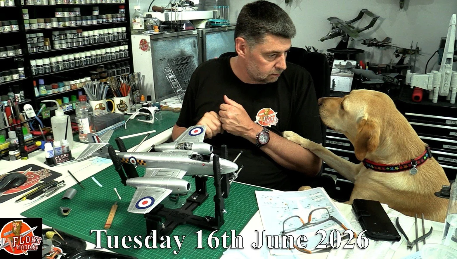 Daily Vlog 16th June 2026