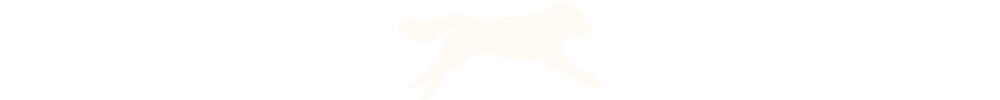 header-dog.png