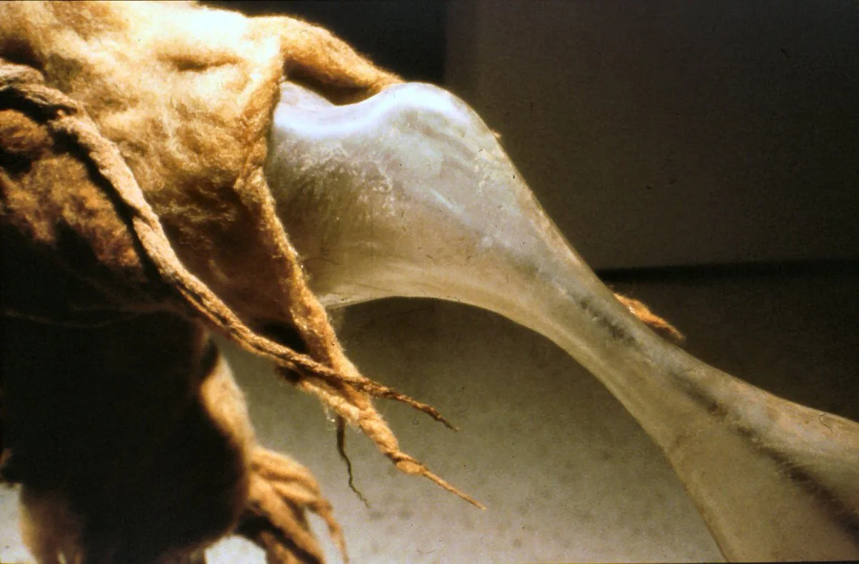 3.PURSUIT. ssheeps wool. wax. henna. plaster. glass. rope.3ft.jpg.1998 copy.jpg