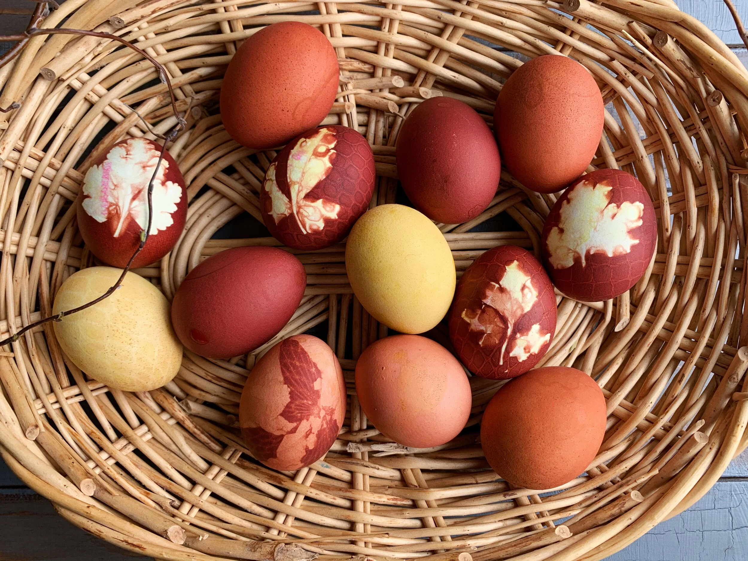 Боядисване на великденски яйца с естествени материали — PICKY EATER'S DIARY