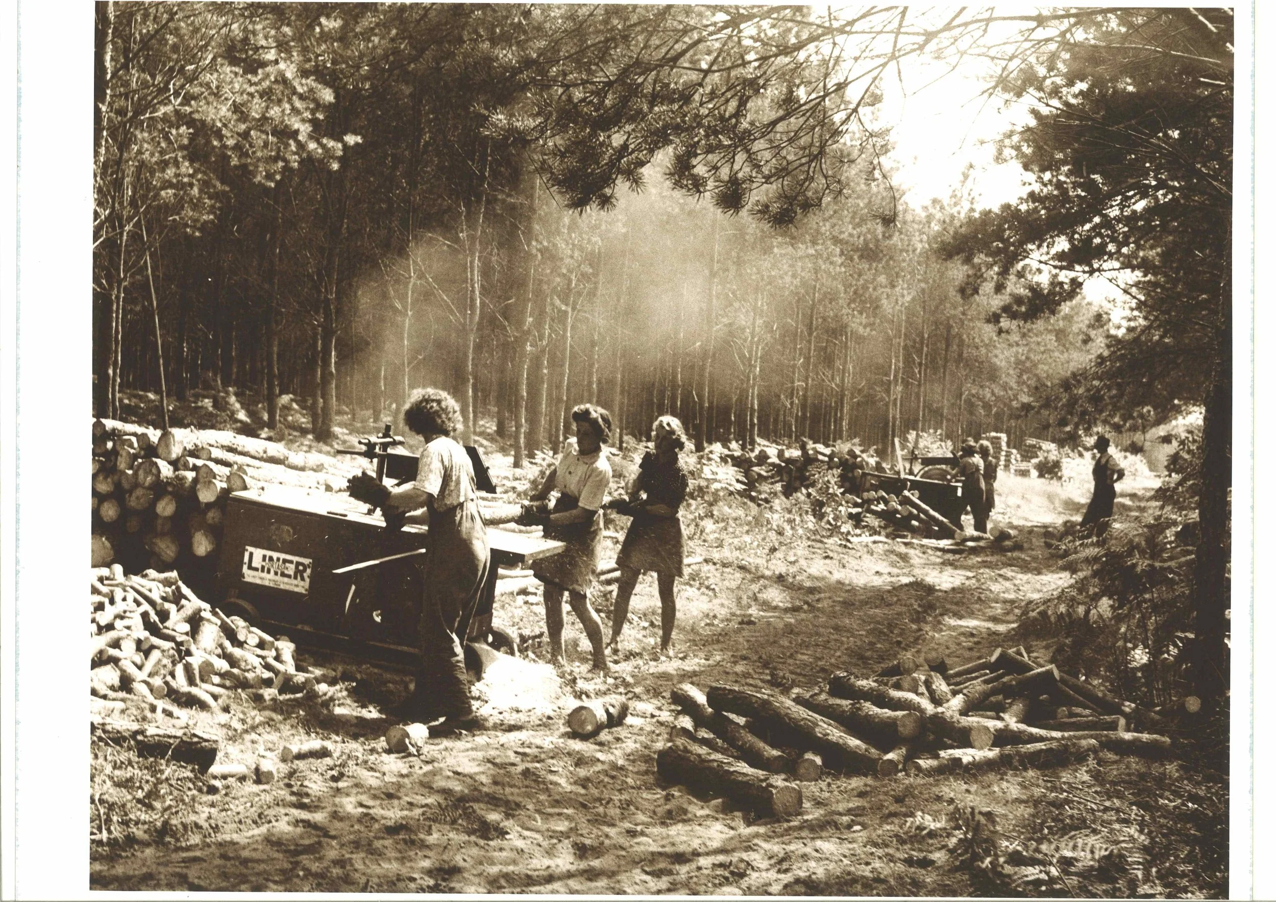 Members of the Women’s Timber Corps at work