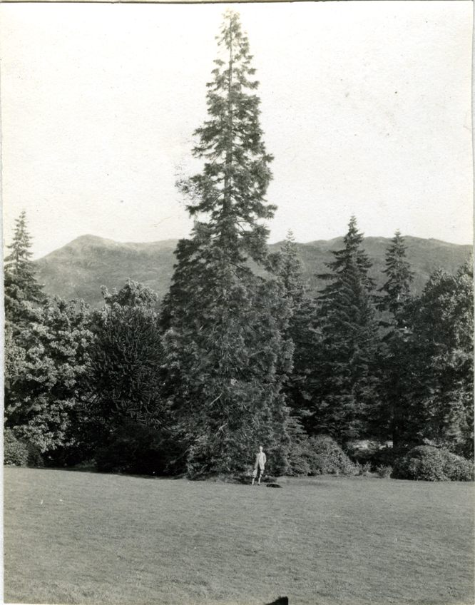 Henry G Younger, Benmore, 1925