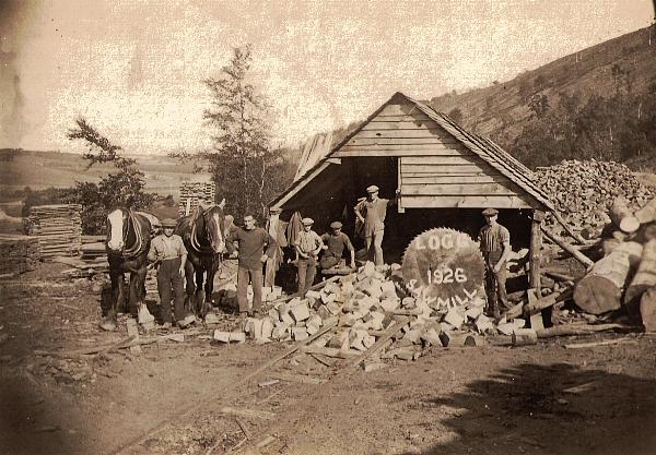 The Logg Sawmill, Fochabers, 1925