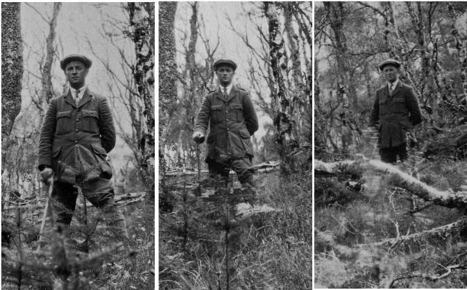 W McIntosh, Glenurquhart Forest, 1931