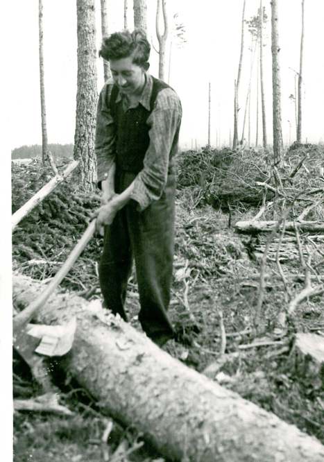 Manual felling, 1949