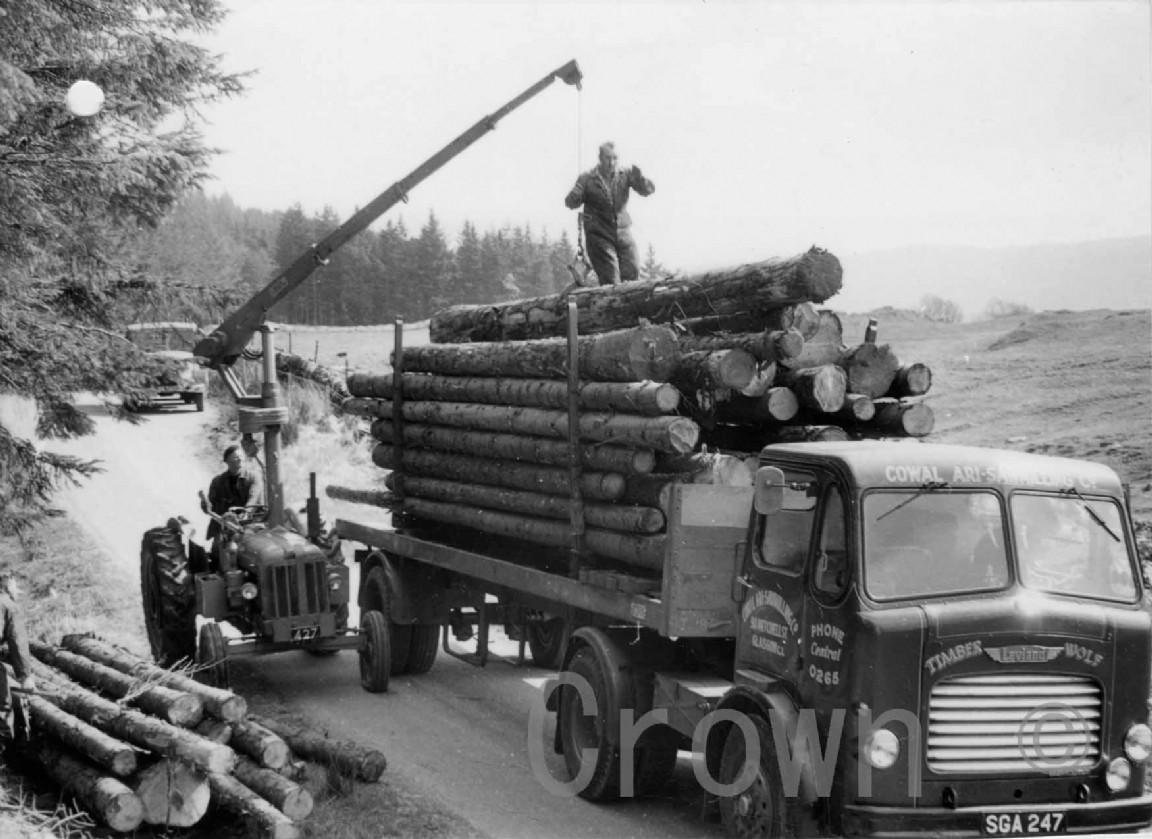 Loading logs at Inverliever forest