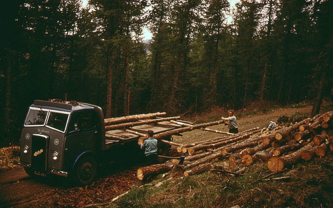 Manual loading with timber poles, 1955