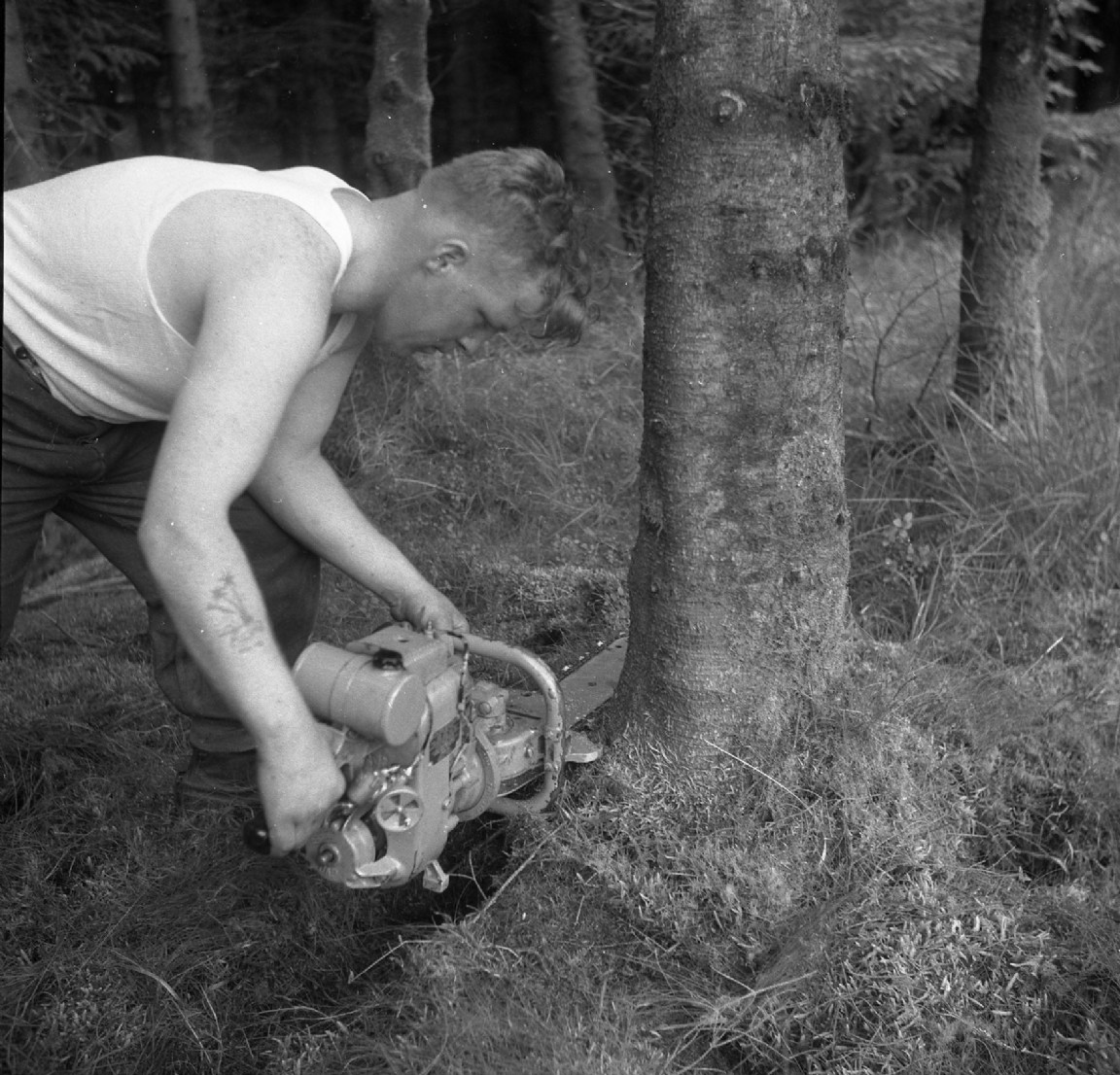 Early chainsaw, 1956