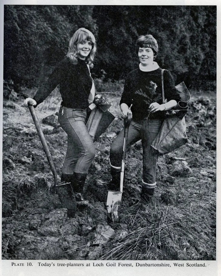 Newspaper clipping, tree planting at Loch Goil, 1968