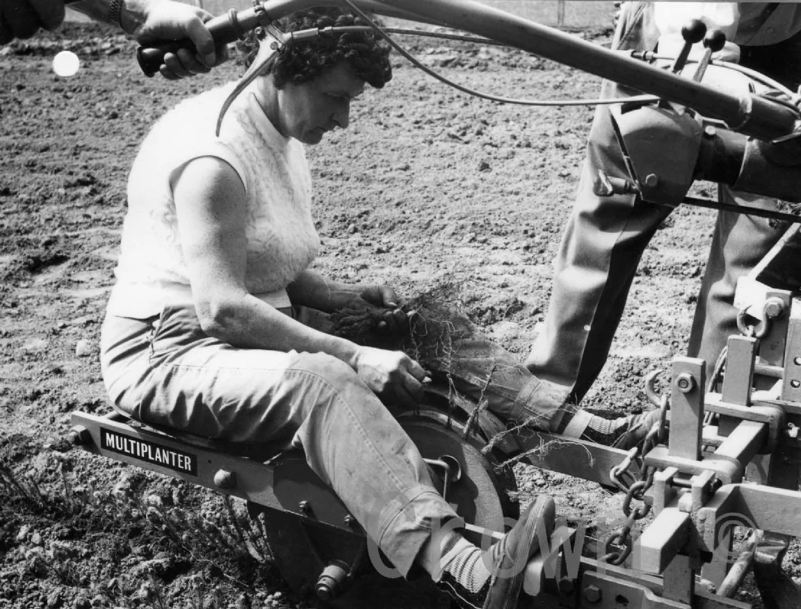 1962_Bush House multiplanter.jpg