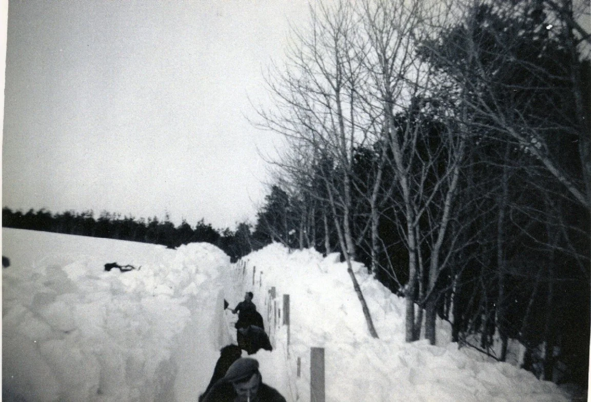 1962_Snow at Bin Forest.jpg