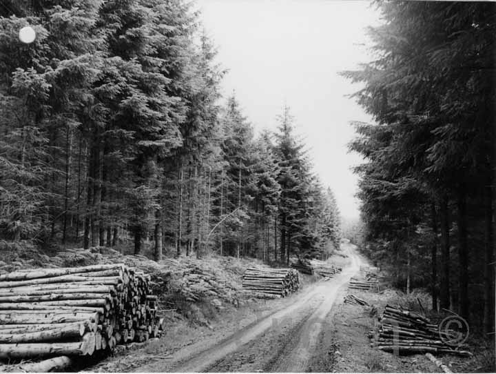 Cardrona, near Peebles, 1971