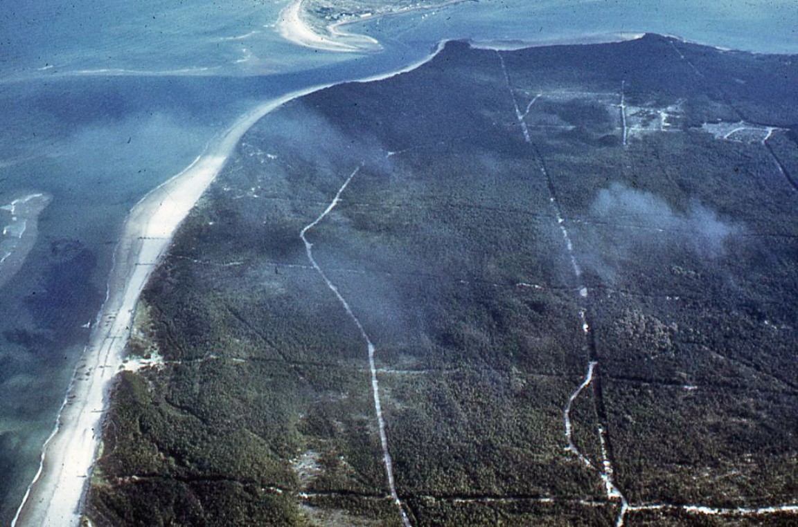 Culbin Forest from the air, 1972
