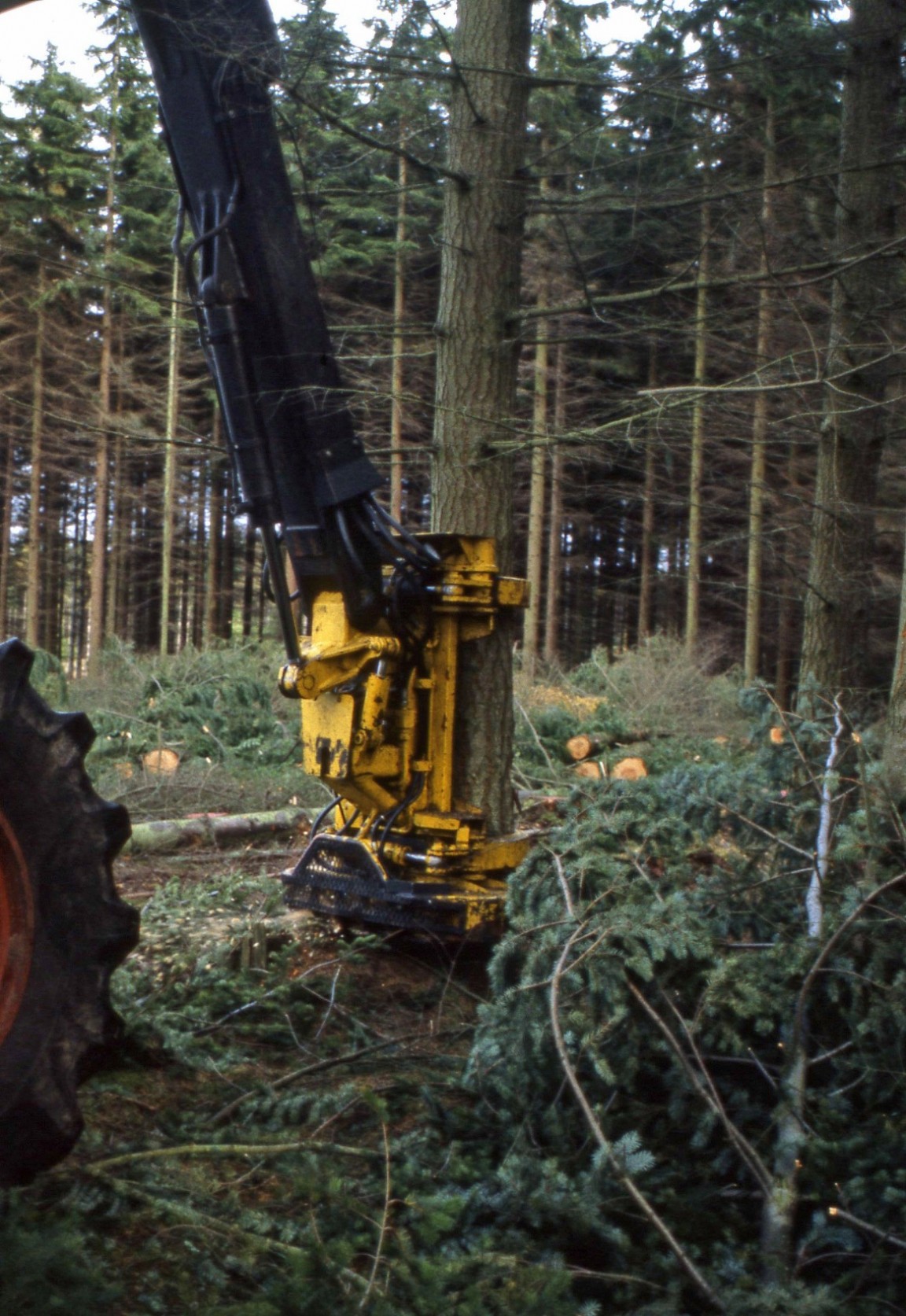 Harvesting machinery demo, Monaughty, 1980