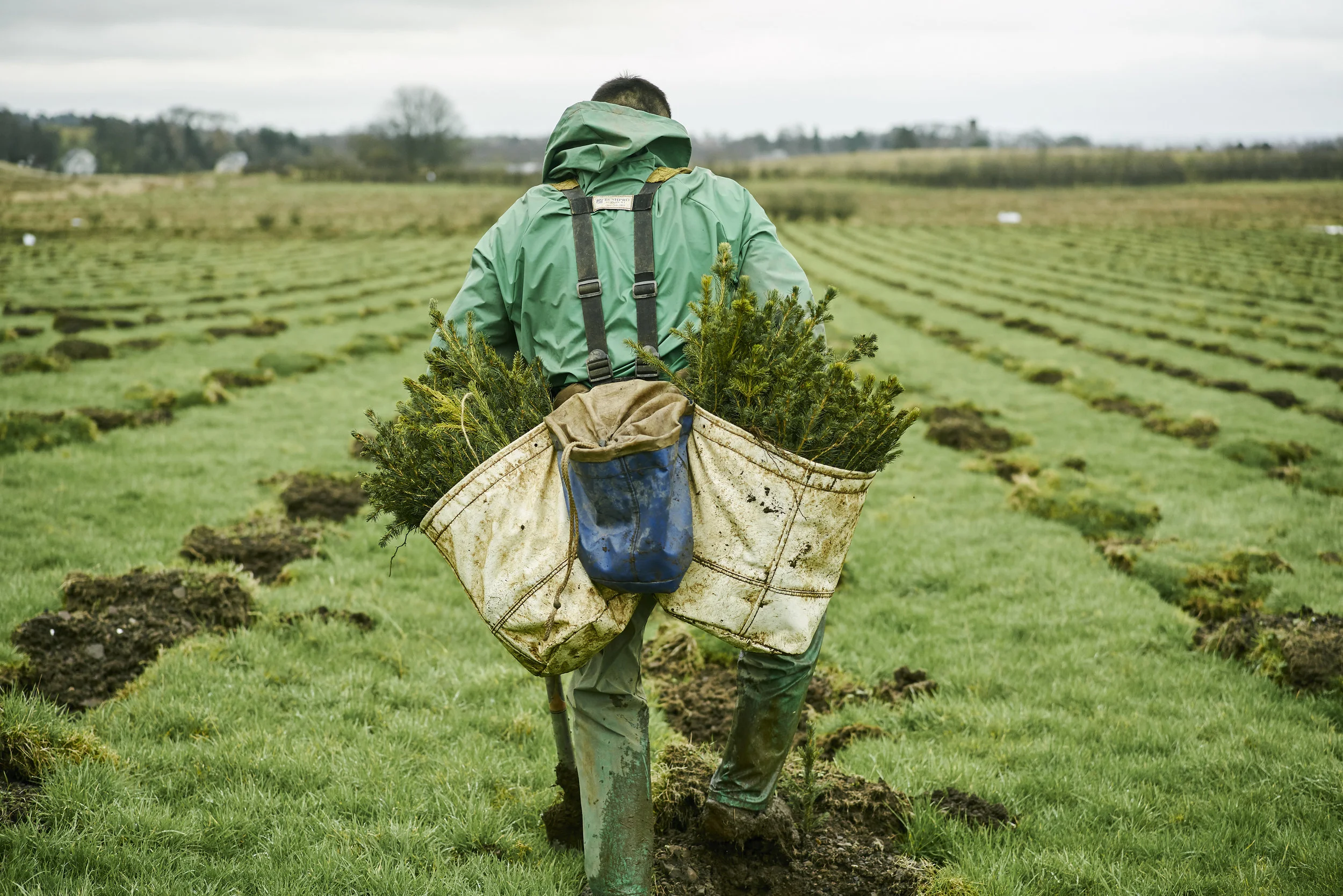 fls-cr-treeplanting-photo-feb2019-025.jpg