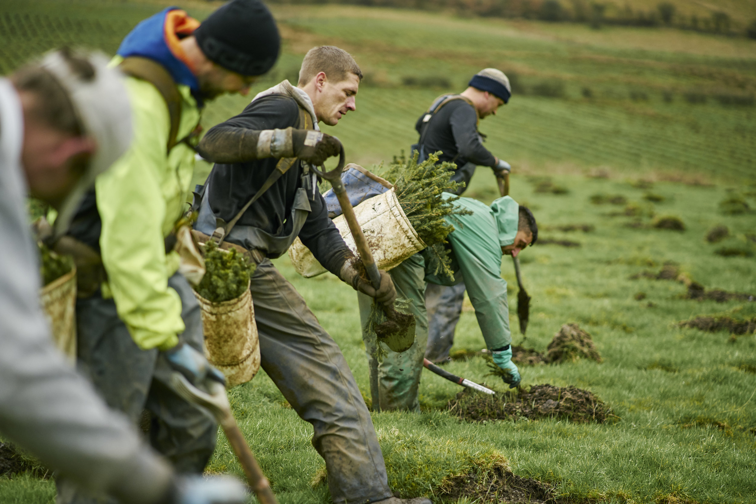 fls-cr-treeplanting-photo-feb2019-030.jpg