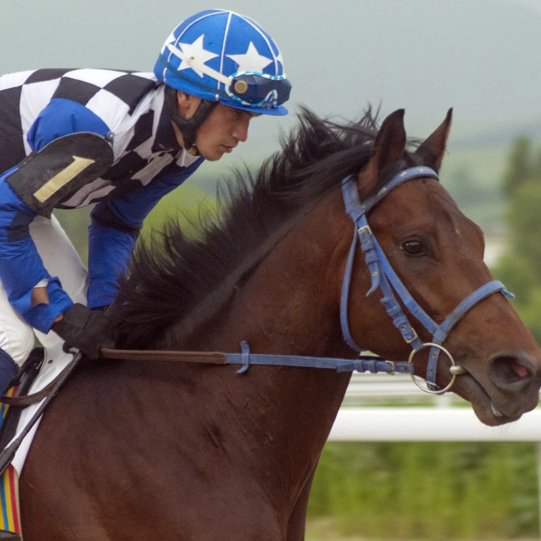Horse Racing (2).jpg