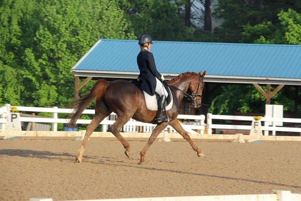 heniontrot.jpg