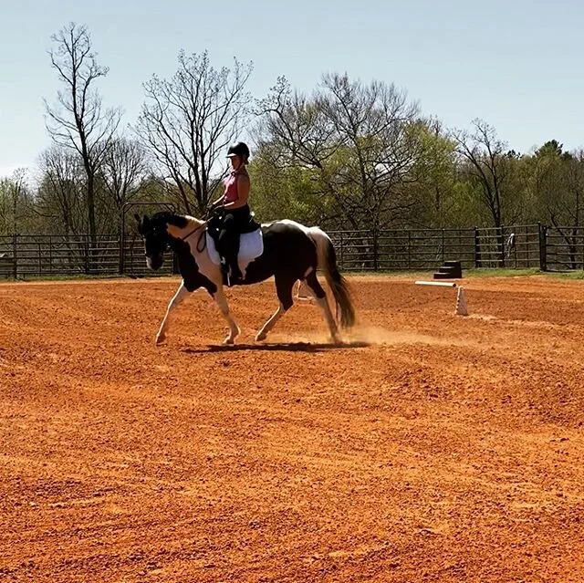 A few shots and video of Heather Kourcklas&rsquo;s lovely mare, Take a Chance, aka, Diamond, running through First Level Test 3 this weekend. 💙  #ponypower #sanddancingpony #dressage
 @heatherkourcklas
