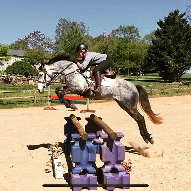 I had a wonderful time jumping Adrienne Classen&rsquo;s Roman Holiday WE this weekend! Holly was a blast to jump, not to mention super scopey and brave. I&rsquo;m looking forward to getting to ride her for the next couple of weeks - thank you @witsen