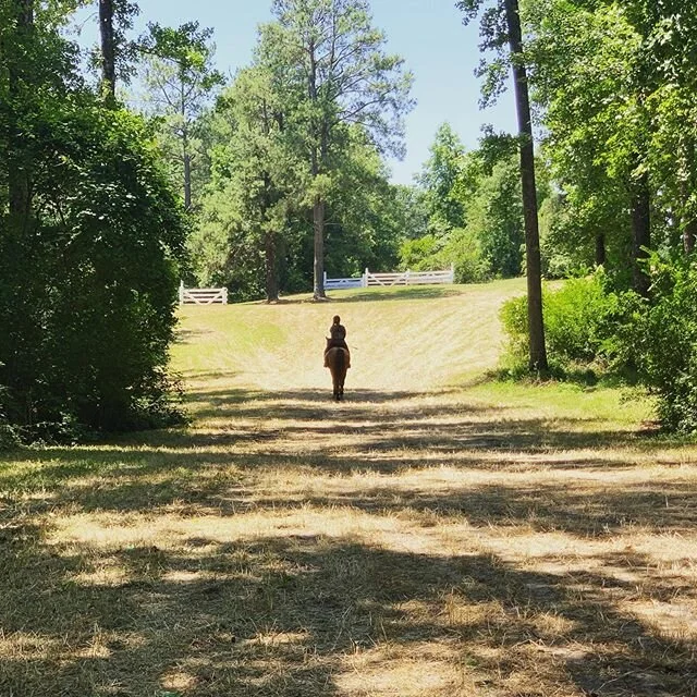 @bulkeju8 @carolinahorsepark