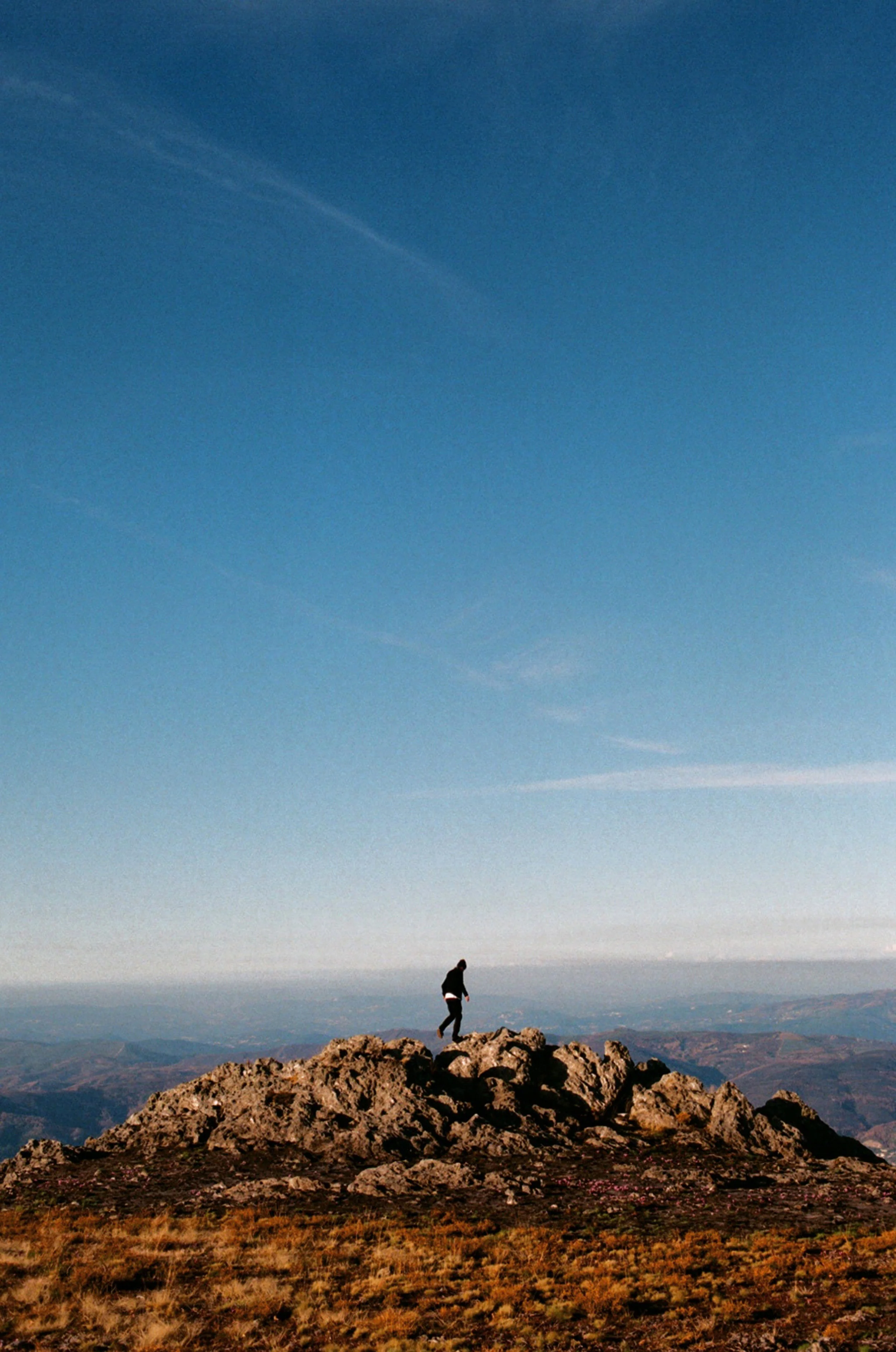 KatieSilvester_HollieTavelJournal- King of the World.JPG