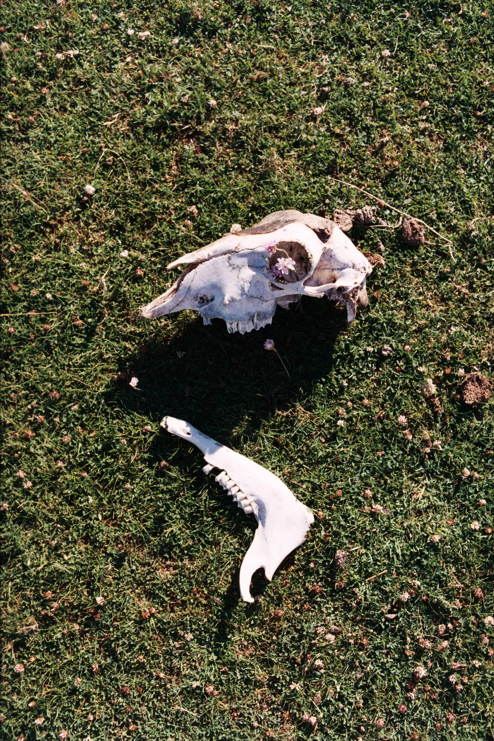 AA015.jpg