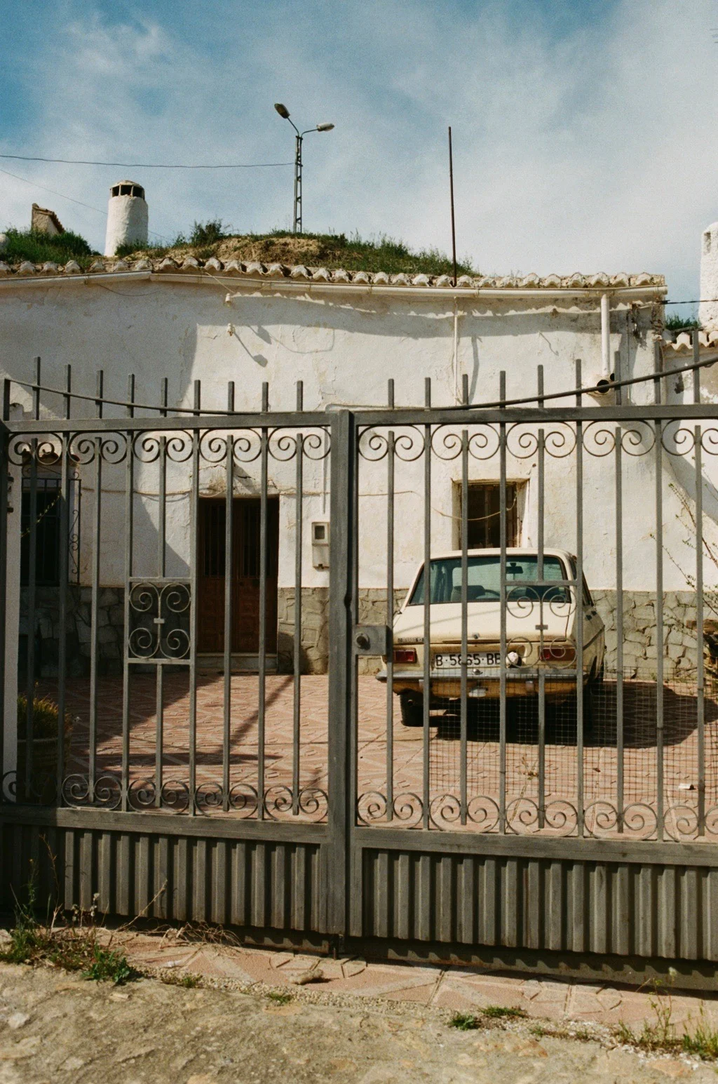 20580026.jpg