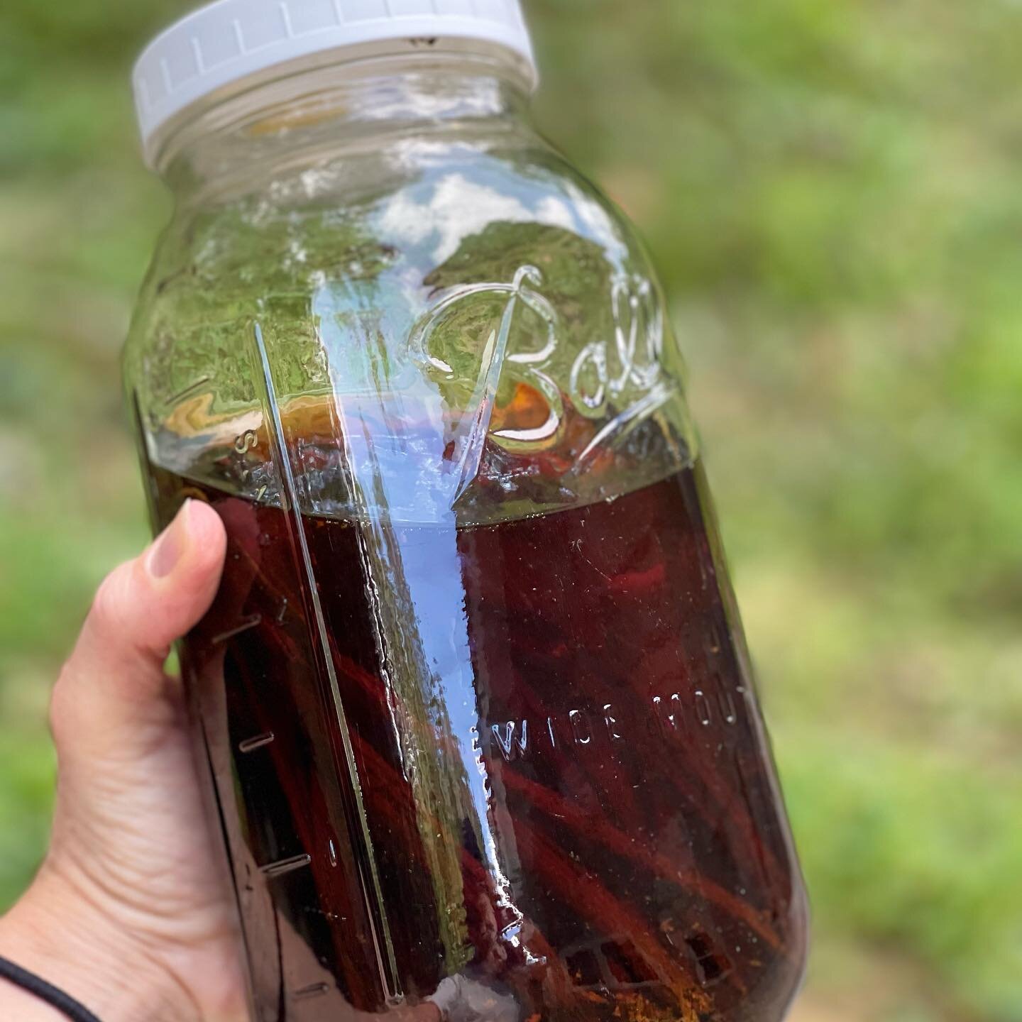 Another concoction - Just for fun!! 
.
Bourbon Vanilla Extract
.
Vanilla extract can be so expensive! So I decided to give this a go and try my own hand at making it. I went big with this batch in case I want to share! 😘
.
20-25 Whole Vanilla Beans 