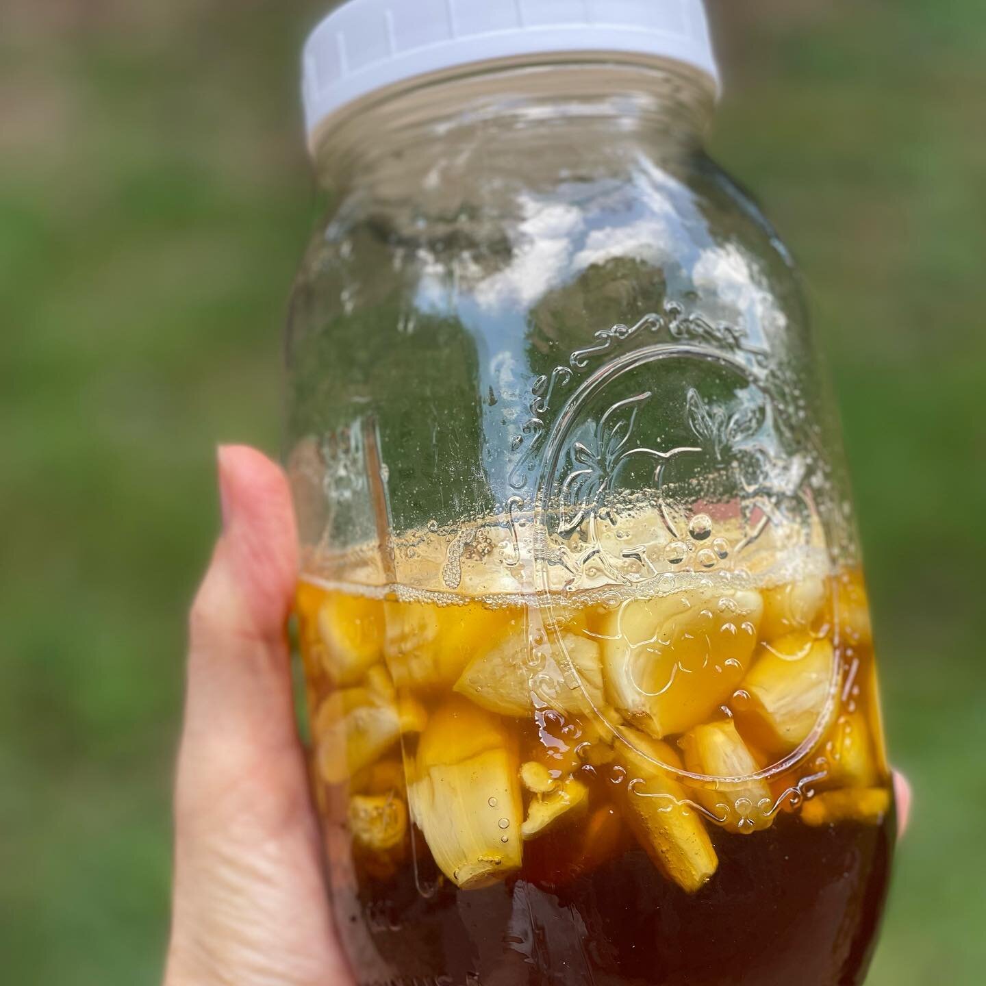 I&rsquo;ve been having some fun in the kitchen lately!  Just mixing up a few concoctions as we head into winter! 
.
First up - fermented honey garlic syrup!
.
Super simple:
1 cup of garlic cloves peeled &amp; slightly crushed. 
Enough Raw (unpasteuri