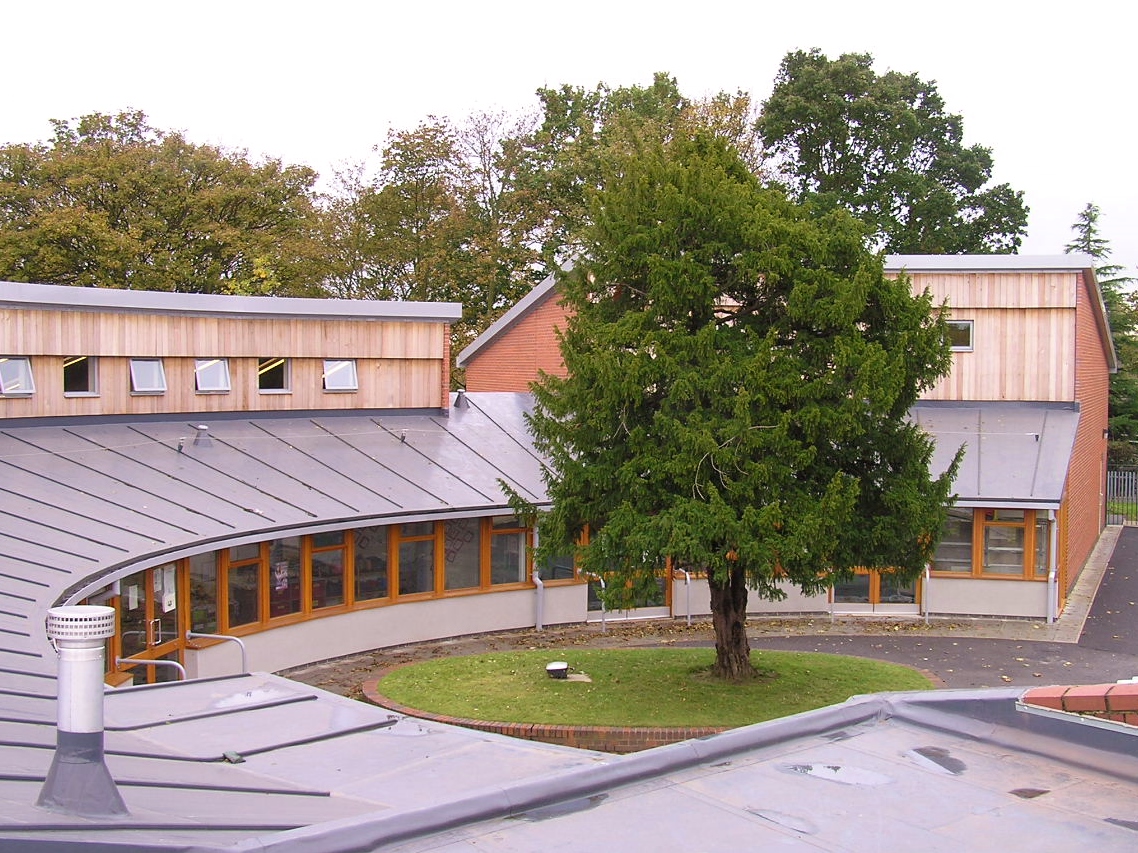 Roof tops.JPG