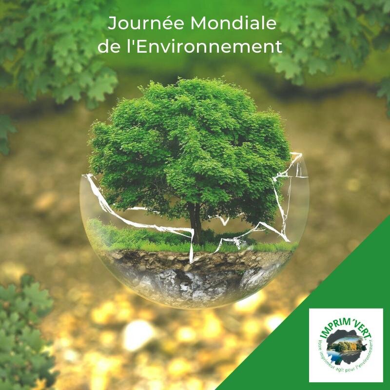 Certification Imprim’vert et Journée mondiale de l'environnement