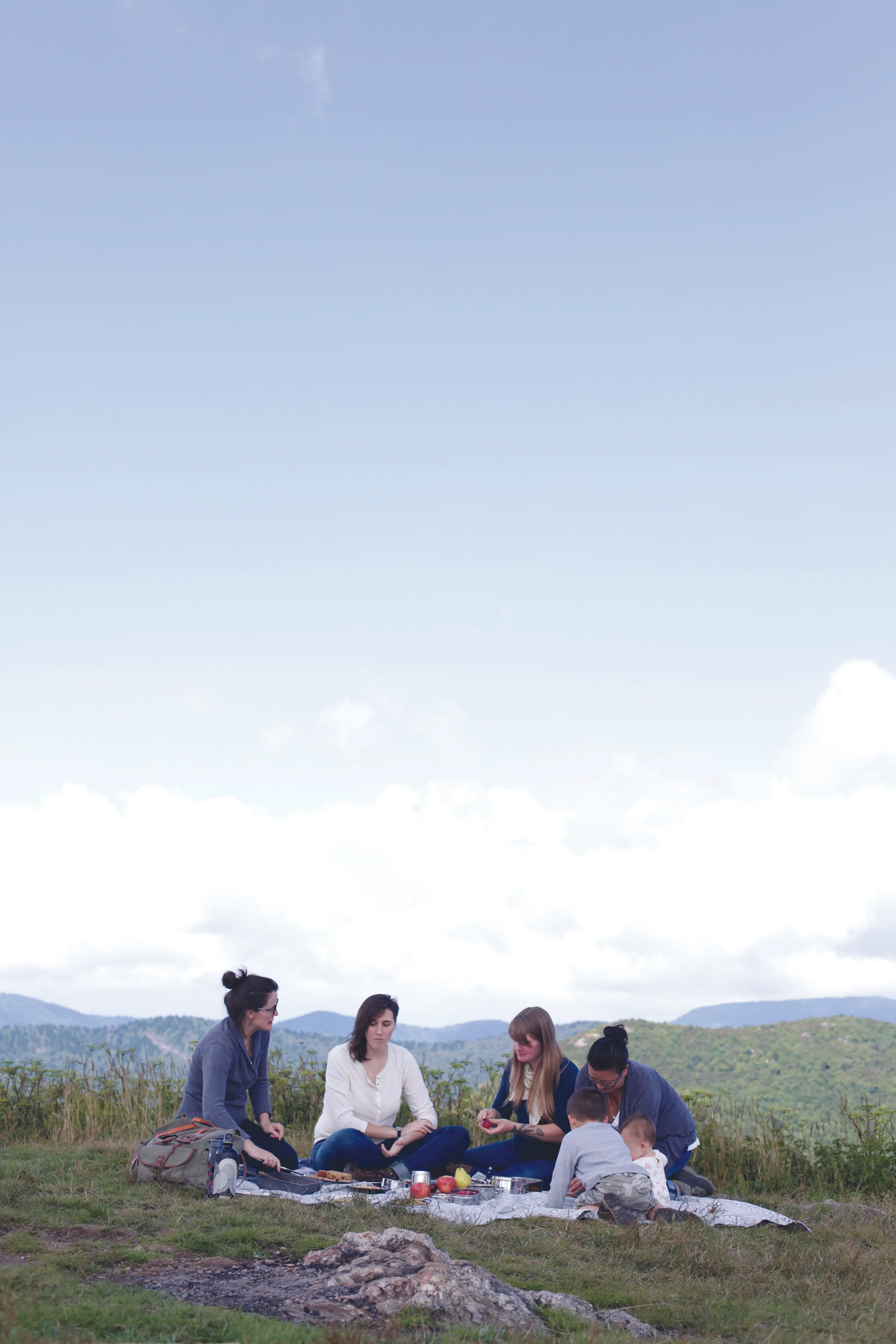 Year of Picnics_Friends Up High.jpg
