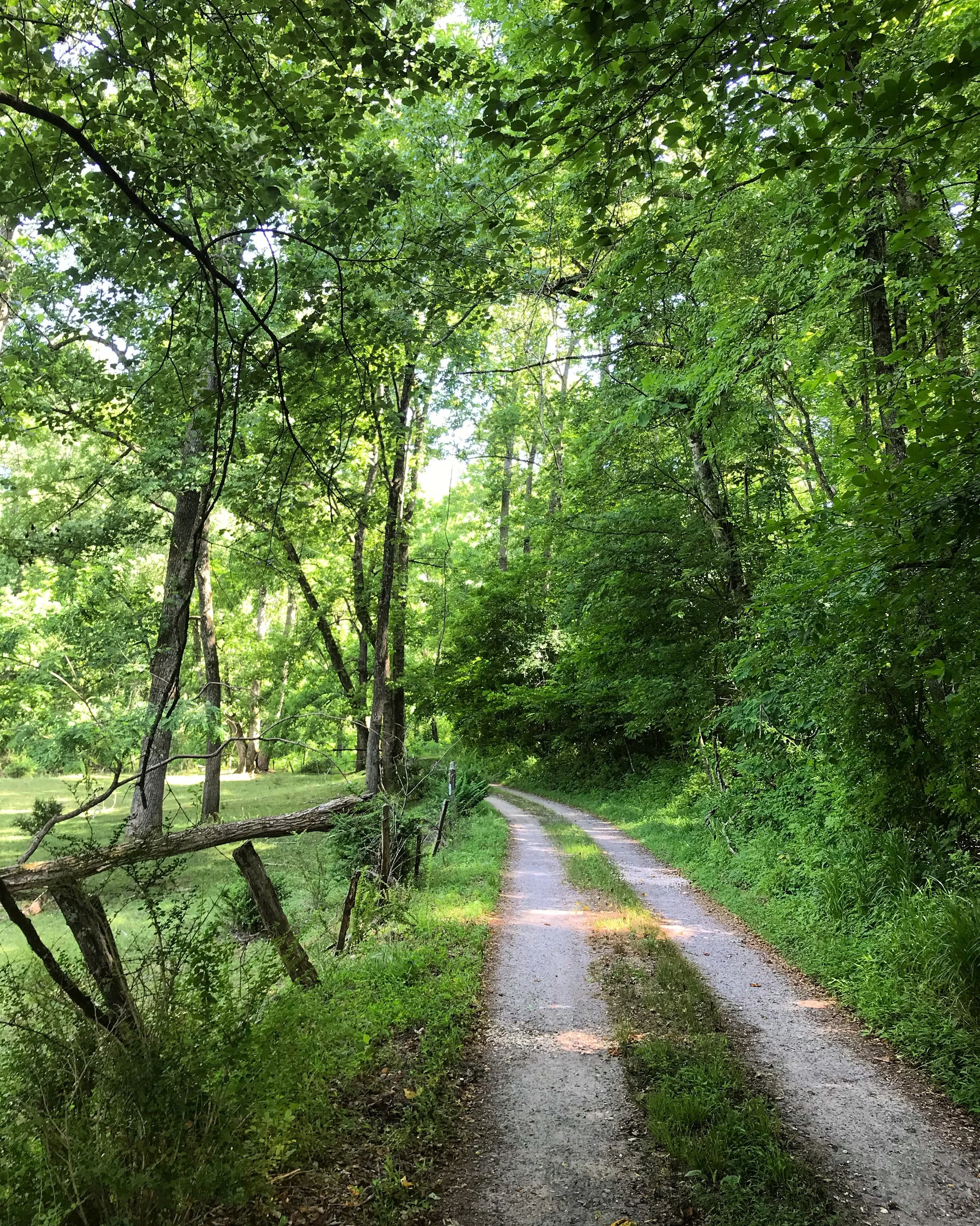 Driveway .jpg