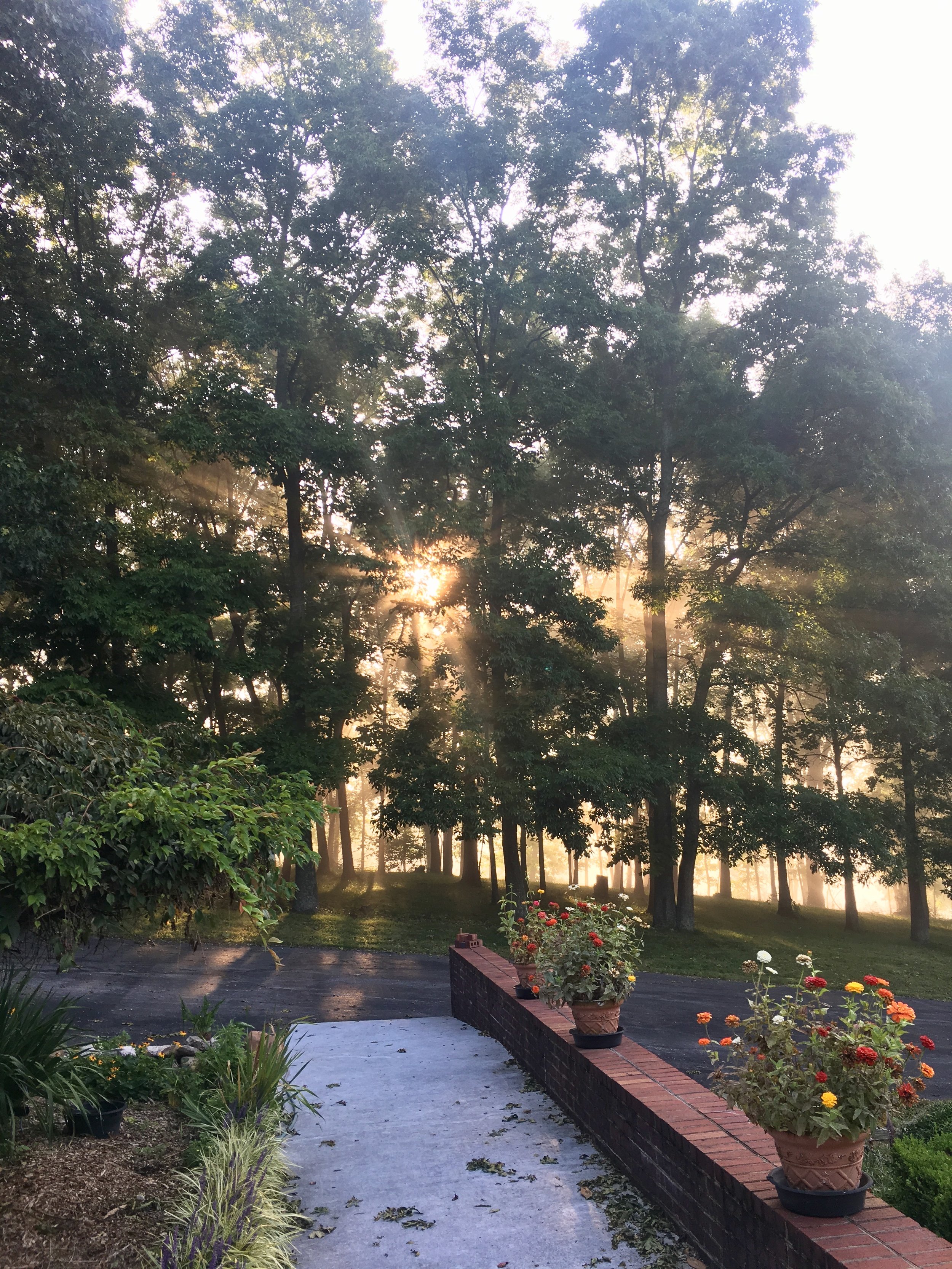 Sunrise