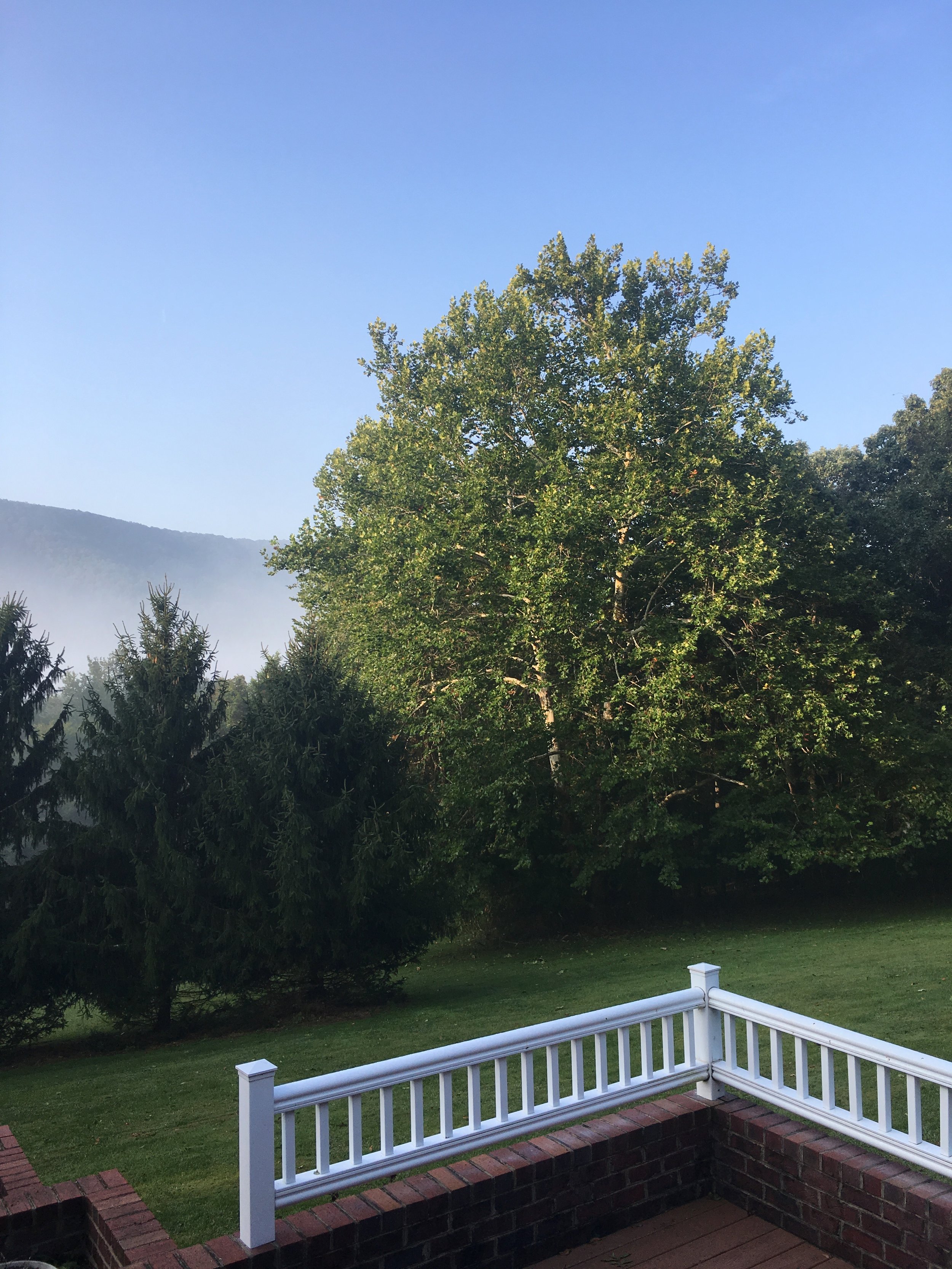 Fog in the Valley