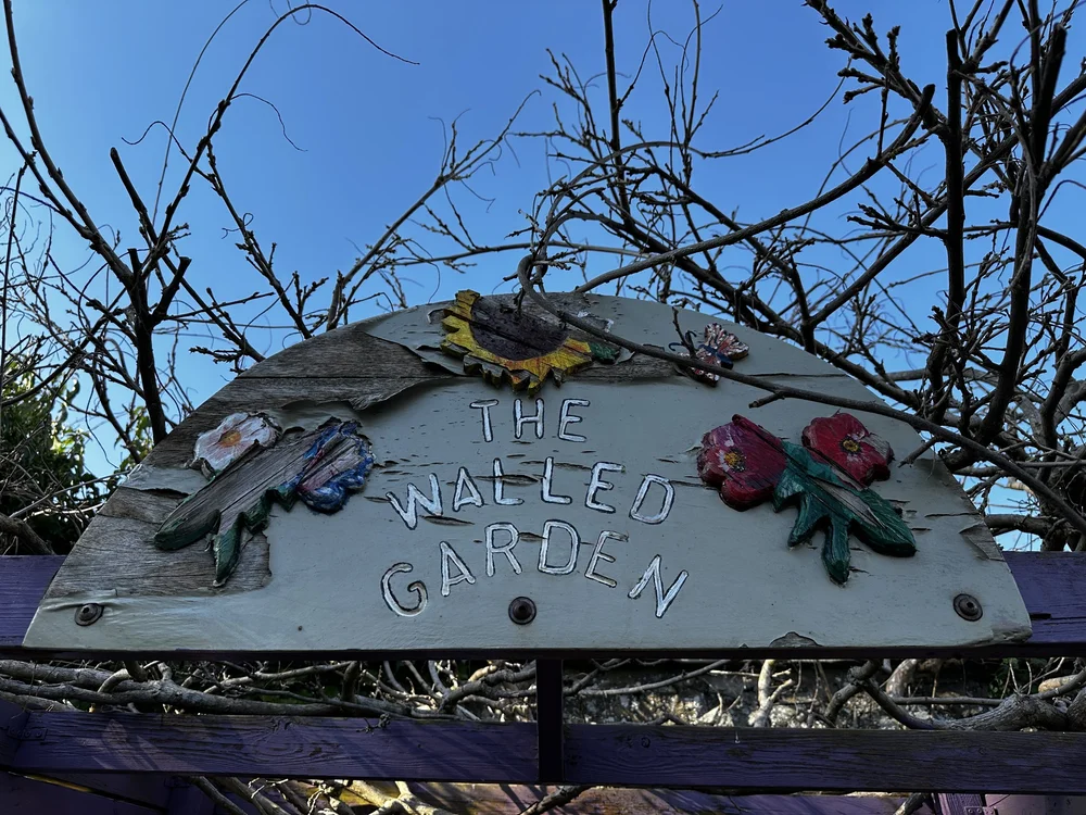 Fiona's photo 8.jpeg