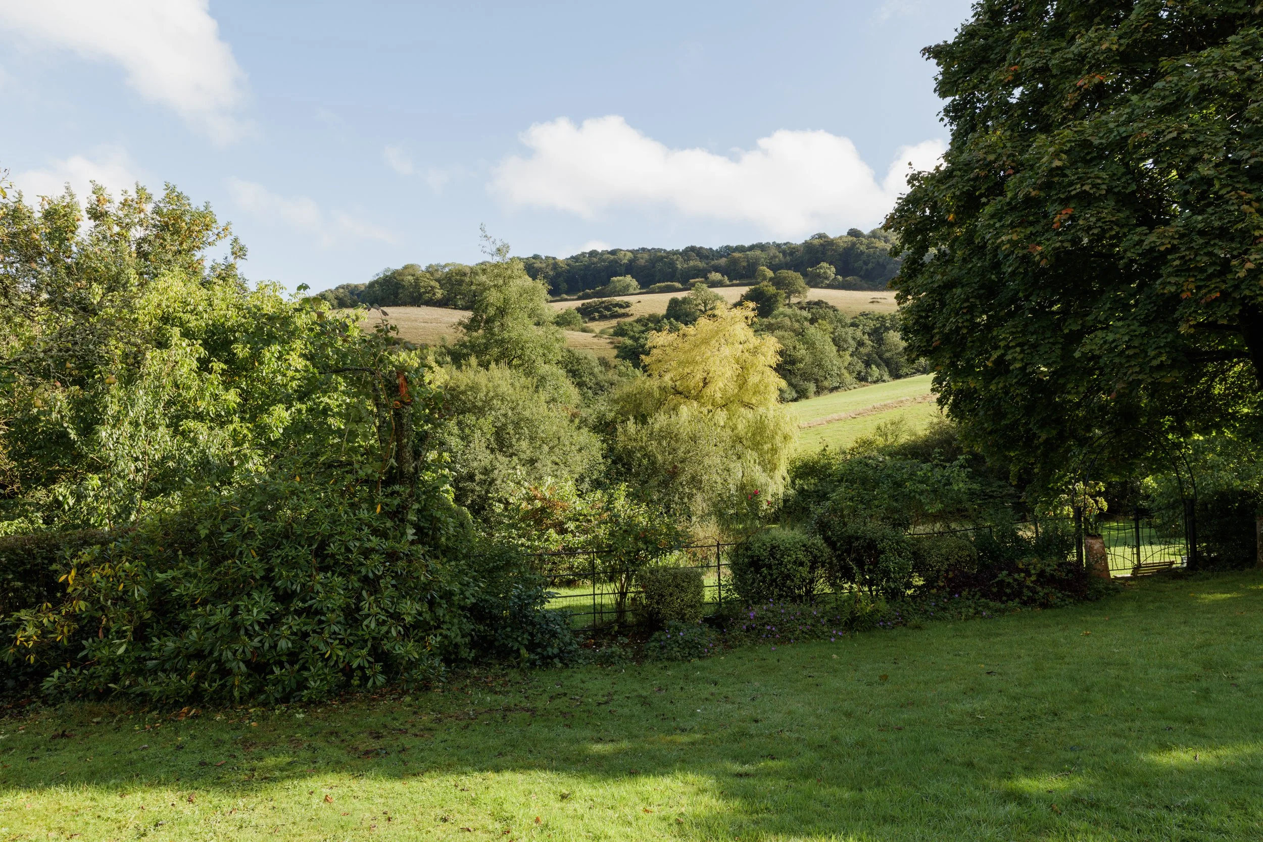 19_Chiltern_Clare Rodbourne.jpg
