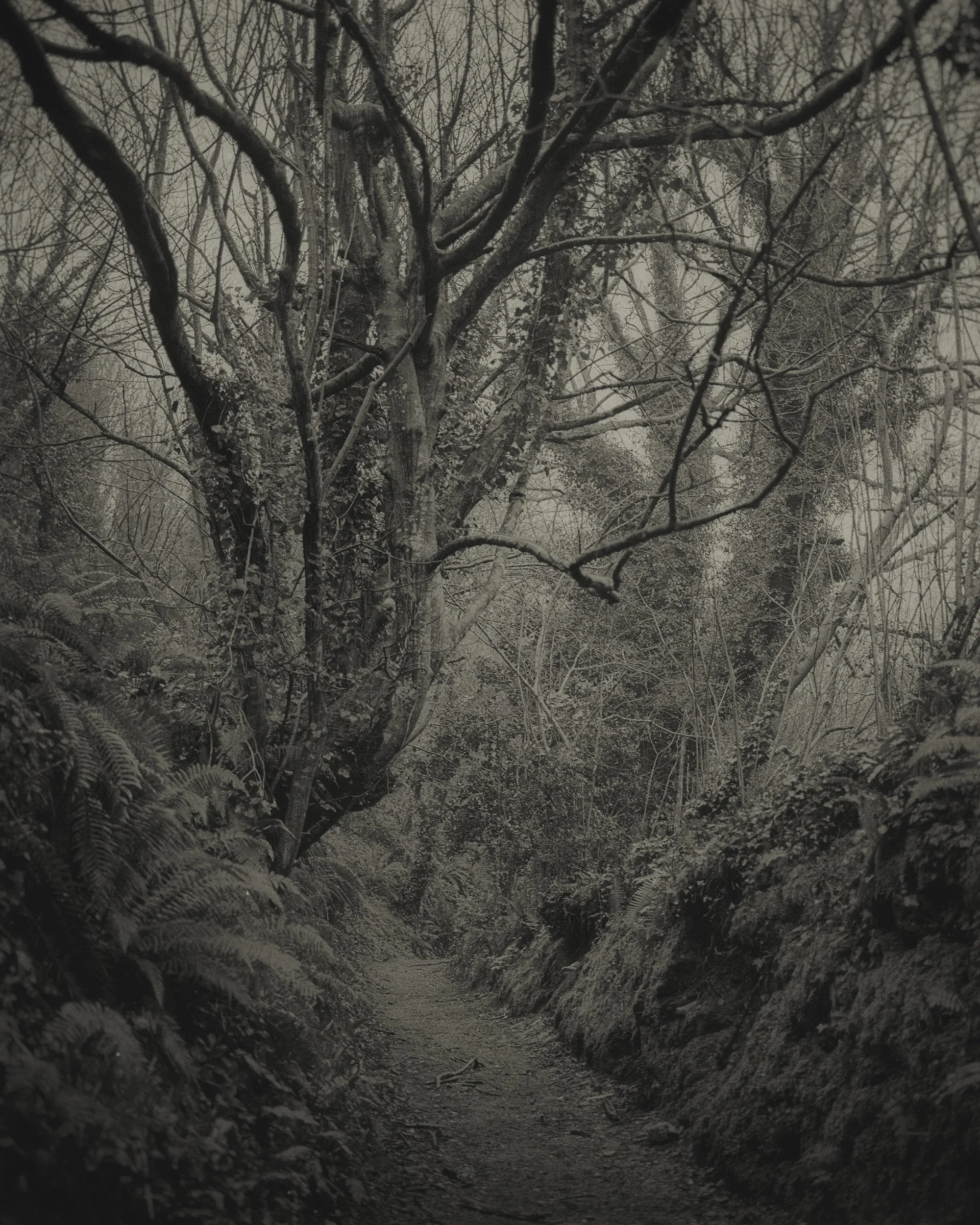 02_Old Moon_Clare Rodbourne.jpg