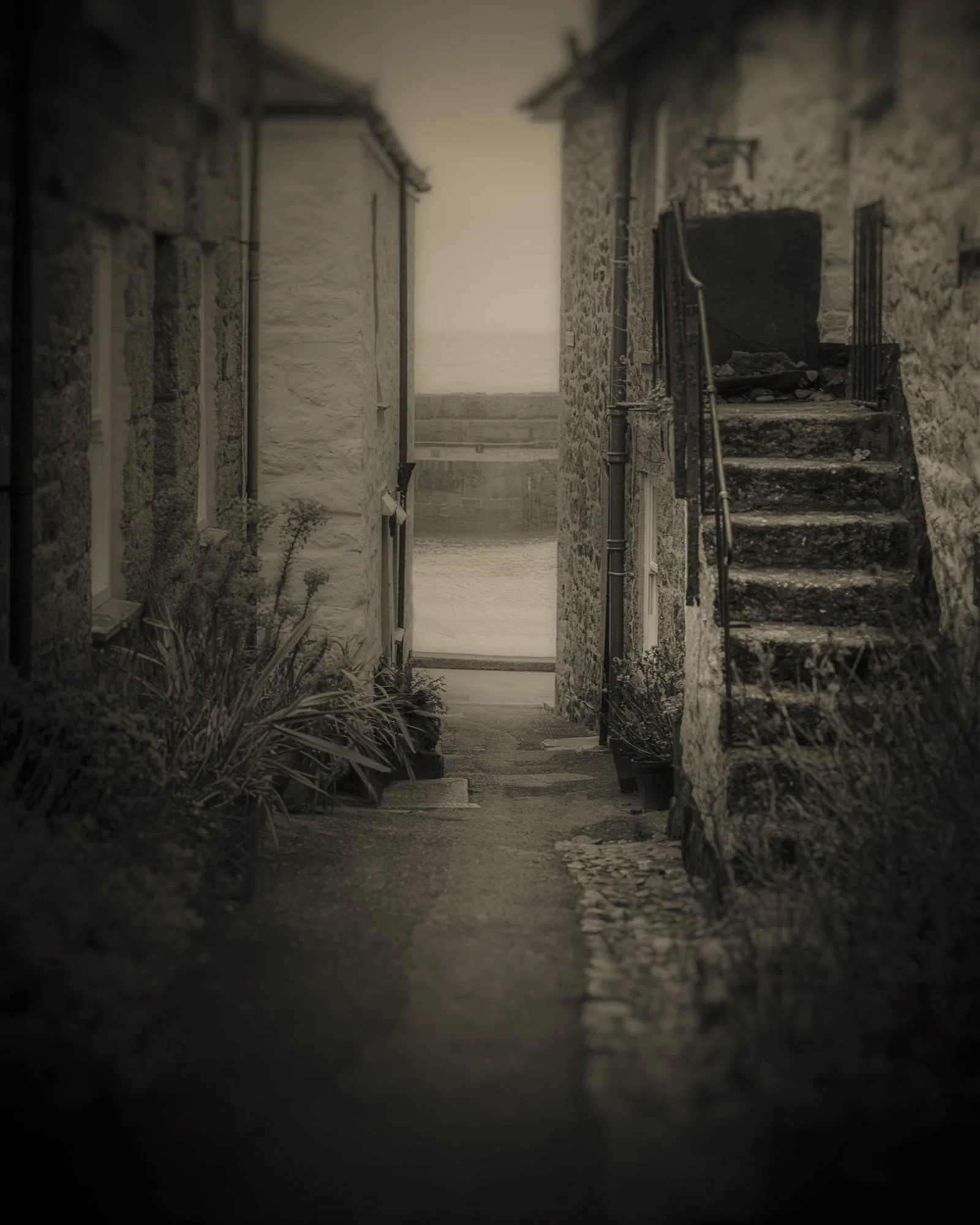 20_Old Moon_Clare Rodbourne.jpg