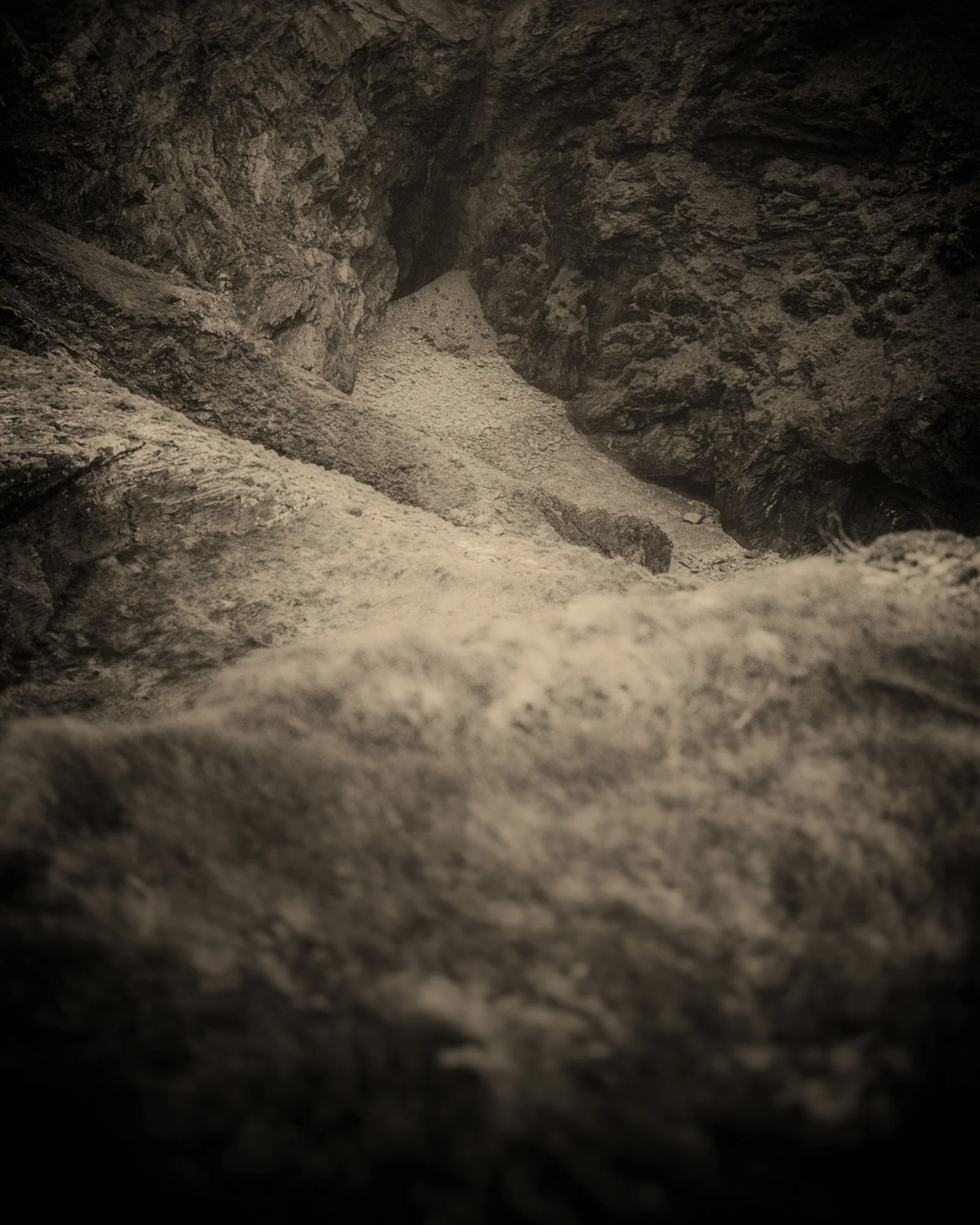 01_Old Moon _Clare Rodbourne.jpg