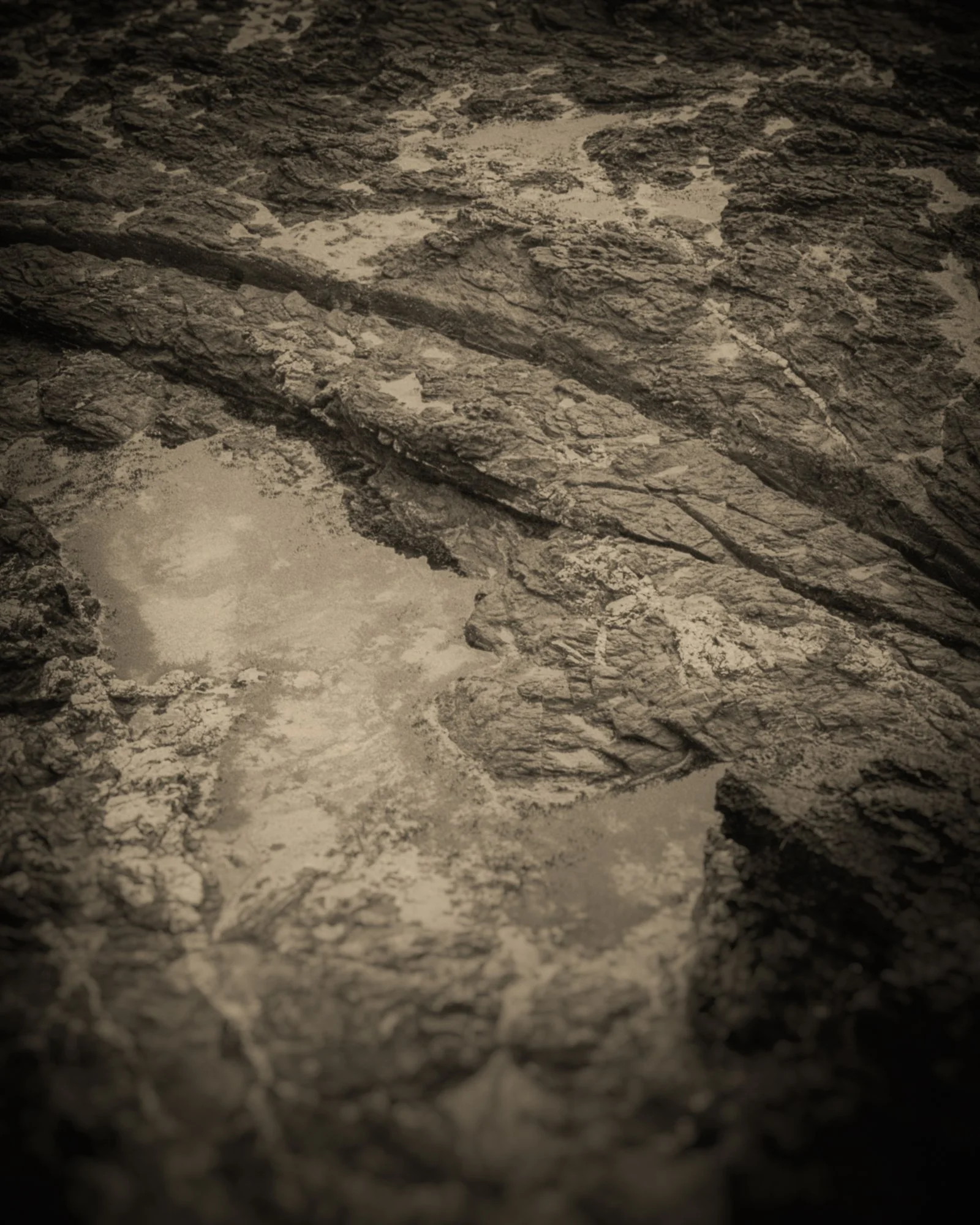 02_Old Moon _Clare Rodbourne.jpg