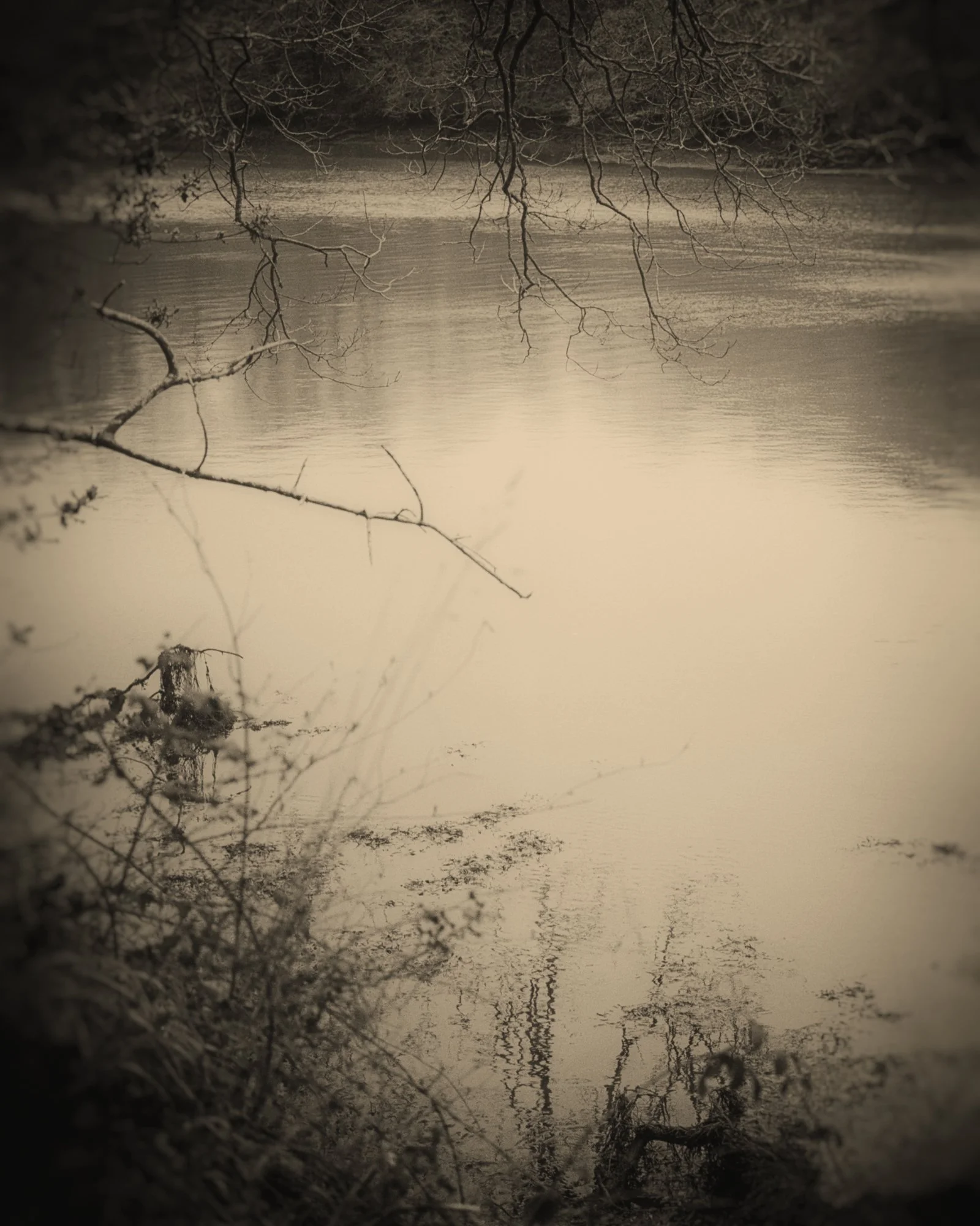 06_Old Moon _Clare Rodbourne.jpg