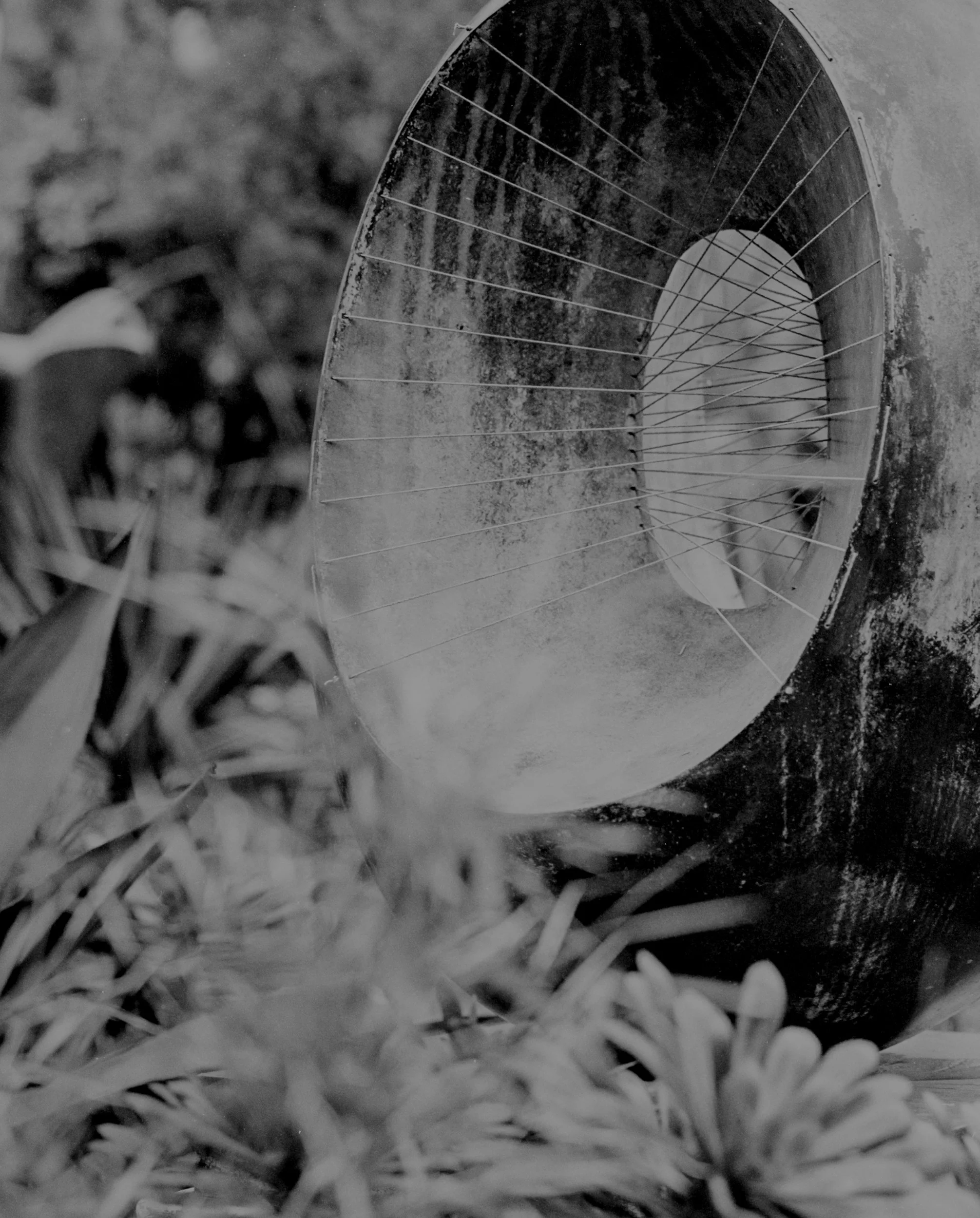 06_Sculpture Garden St Ives_Clare Rodbourne.jpg
