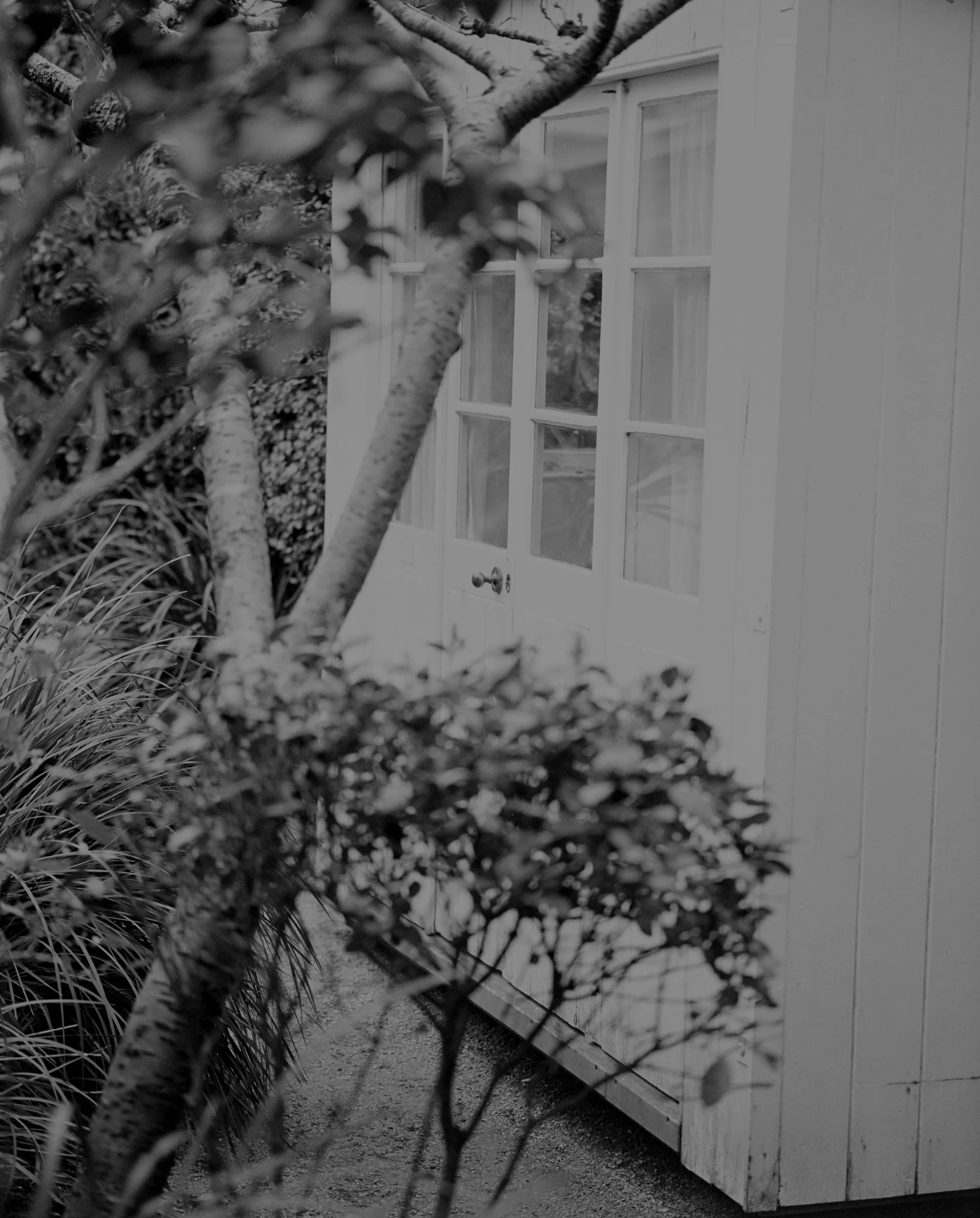 11_Sculpture Garden St Ives_Clare Rodbourne.jpg