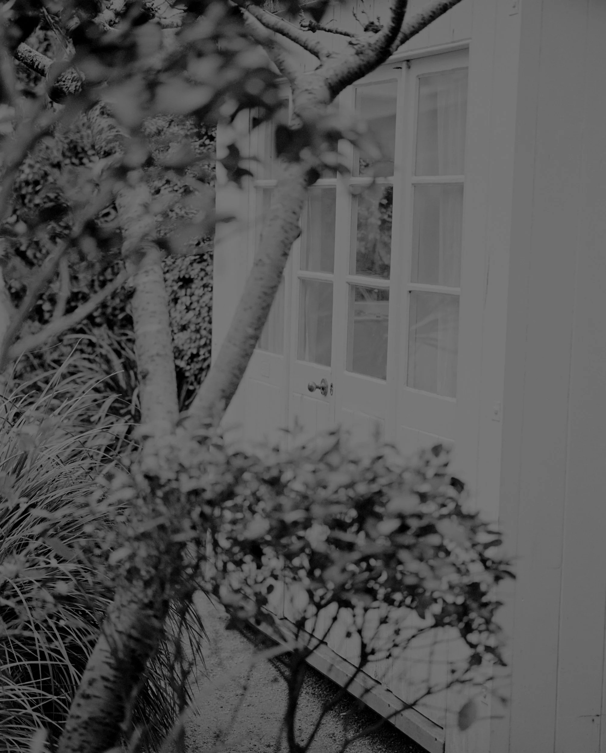 08_Sculpture Garden St Ives_Clare Rodbourne.jpg