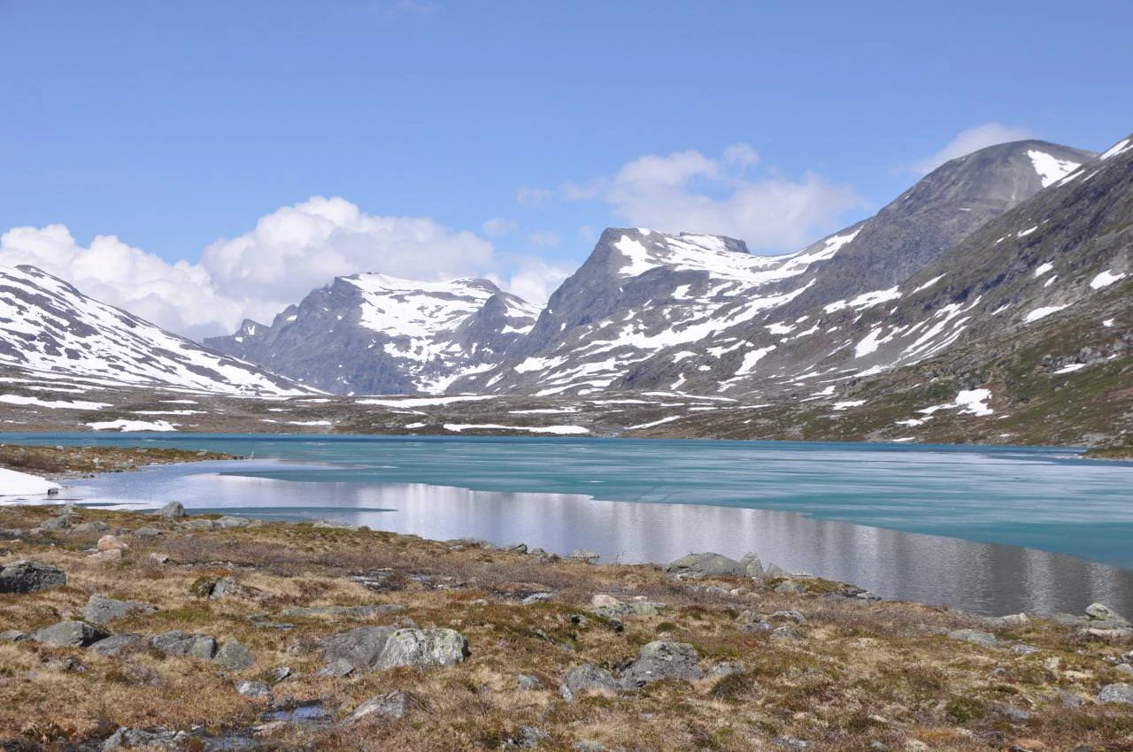 Liten auke i jaktkvoten på rein i Snøhetta vest