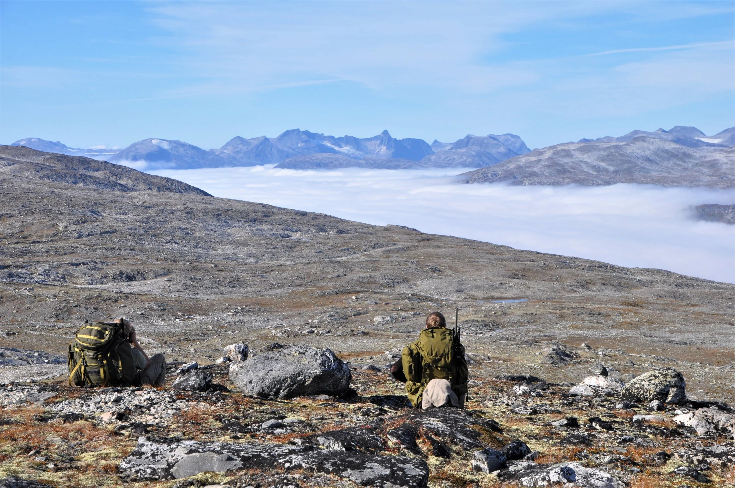 Jaktkort på rein 2019