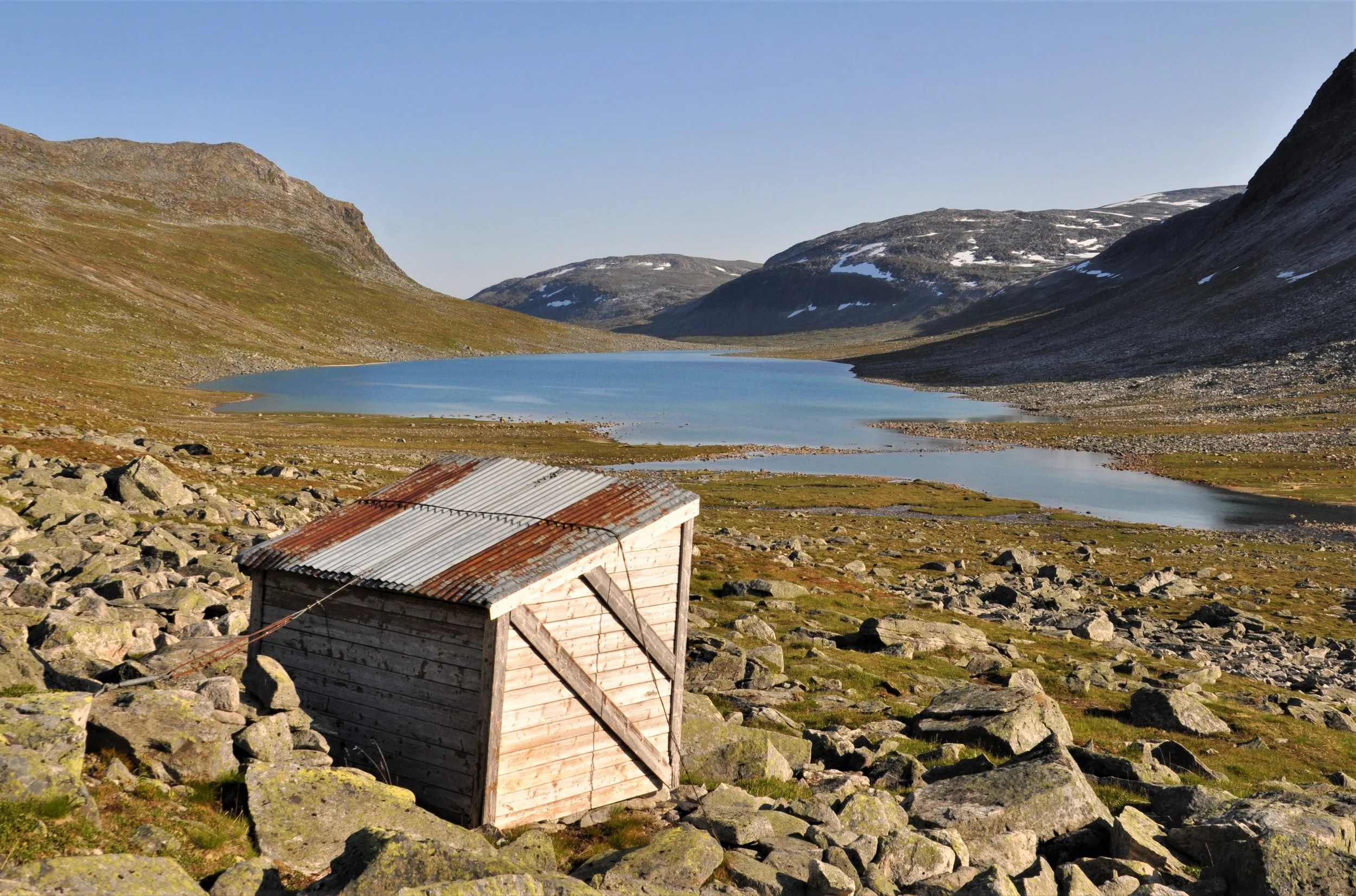 Jaktkort på rein 2019 i Eresfjord og Vistdal statsallmenning