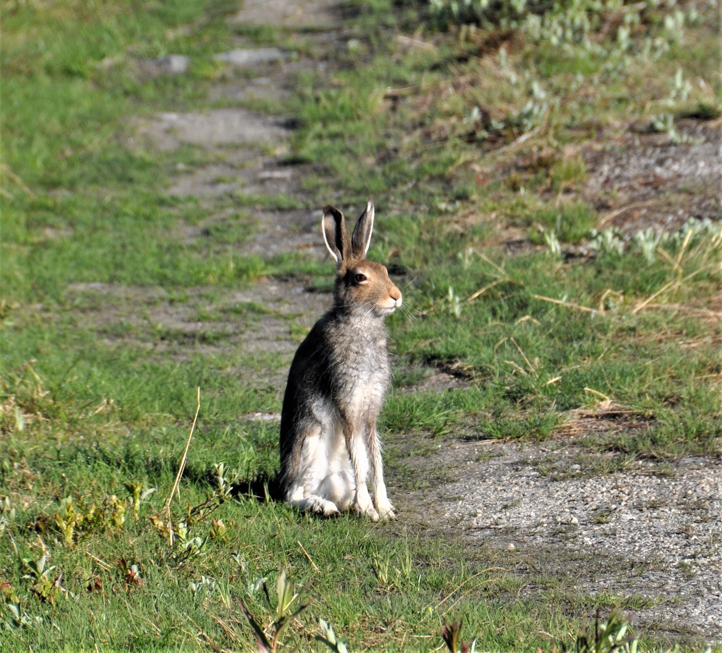 Styremøte tirsdag 26. januar 2021 kl. 20 på Kavlimoen i Eresfjord